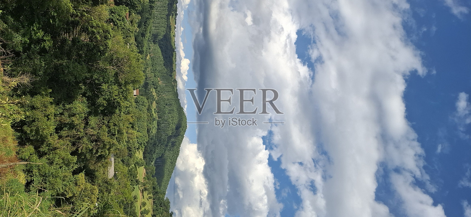 巴西自然照片摄影图片