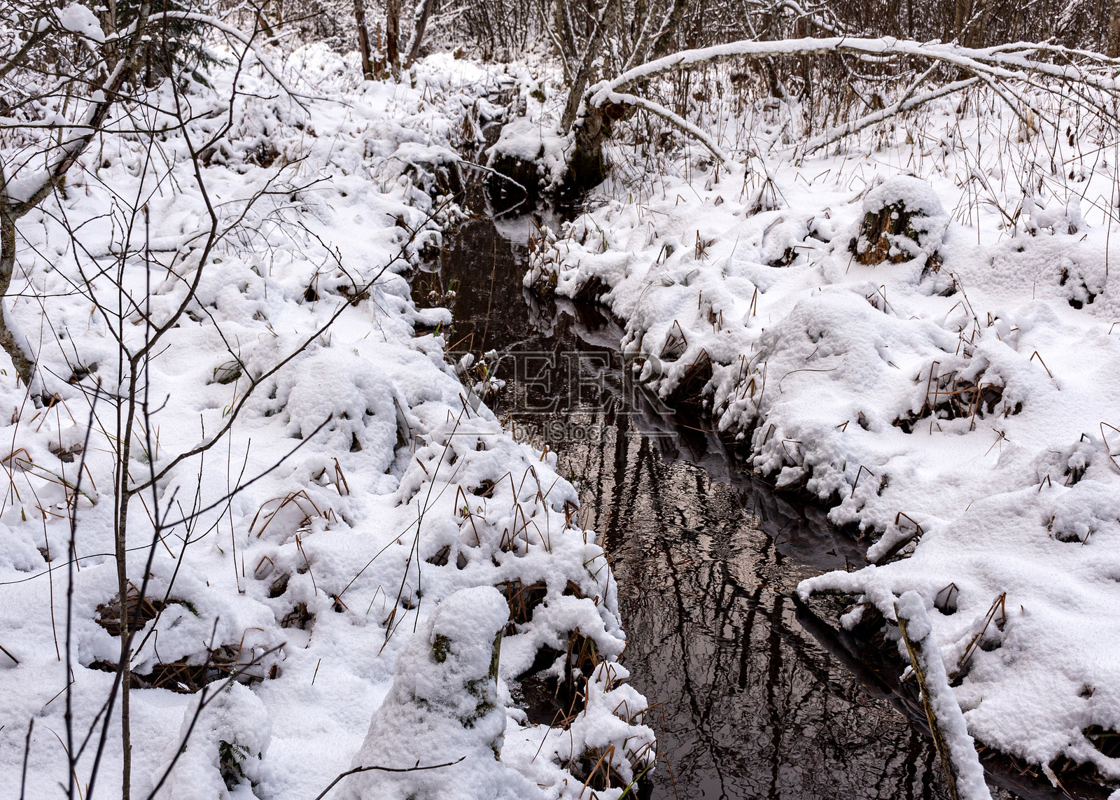 冬季风景，河岸上有一条小而野性的河流，长时间曝光，水面模糊，河岸上覆盖着雪的树木照片摄影图片