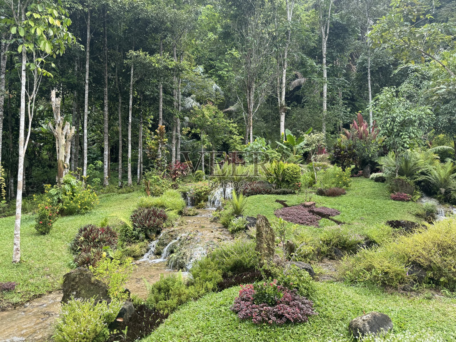 Kali Dingin瀑布旅游景点位于东卢武，瓦苏蓬达，拥有异国情调和美丽的自然环境。照片摄影图片
