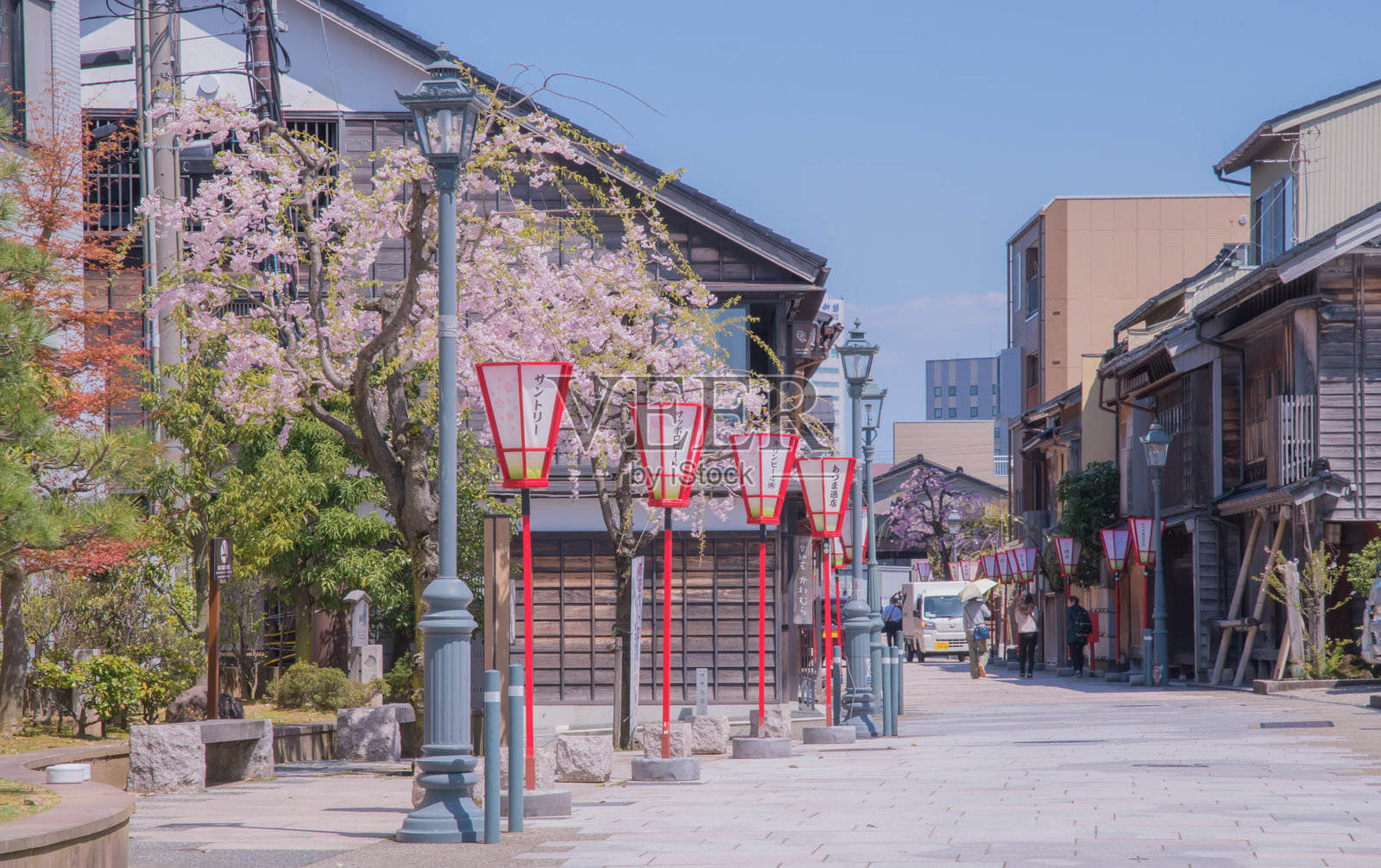 日本的樱花季节。照片摄影图片