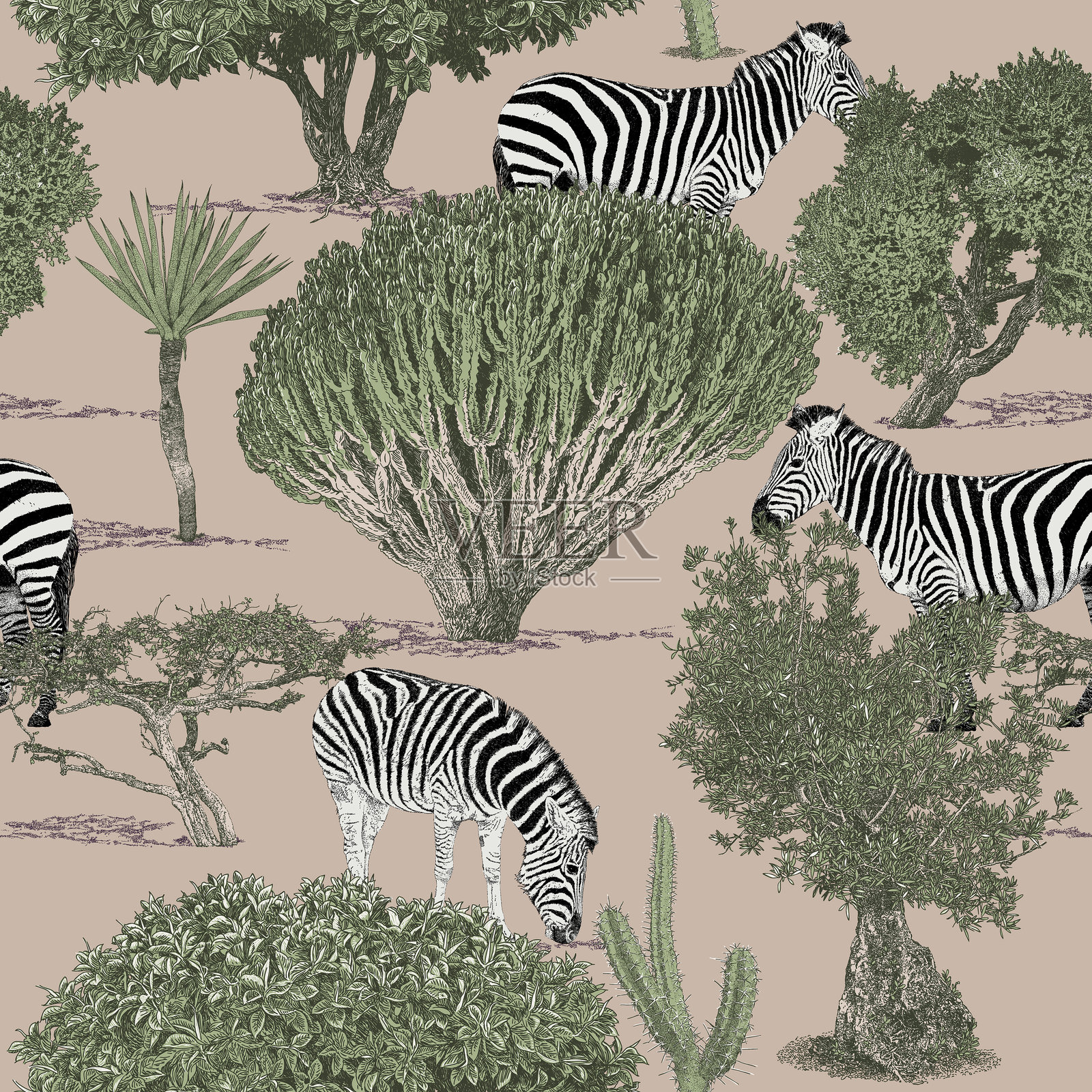 斑马仙人掌棕榈树沙漠无缝重复图案插画图片素材