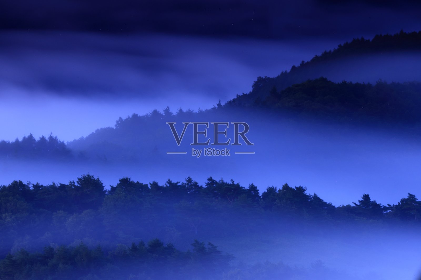 日出与云海照片摄影图片