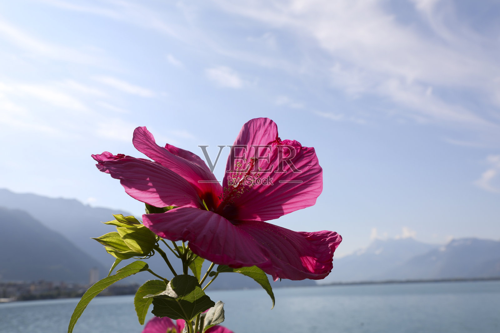 春天的氛围照片摄影图片