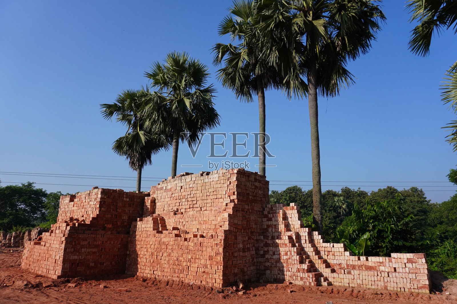砖块堆放在棕榈树旁边照片摄影图片