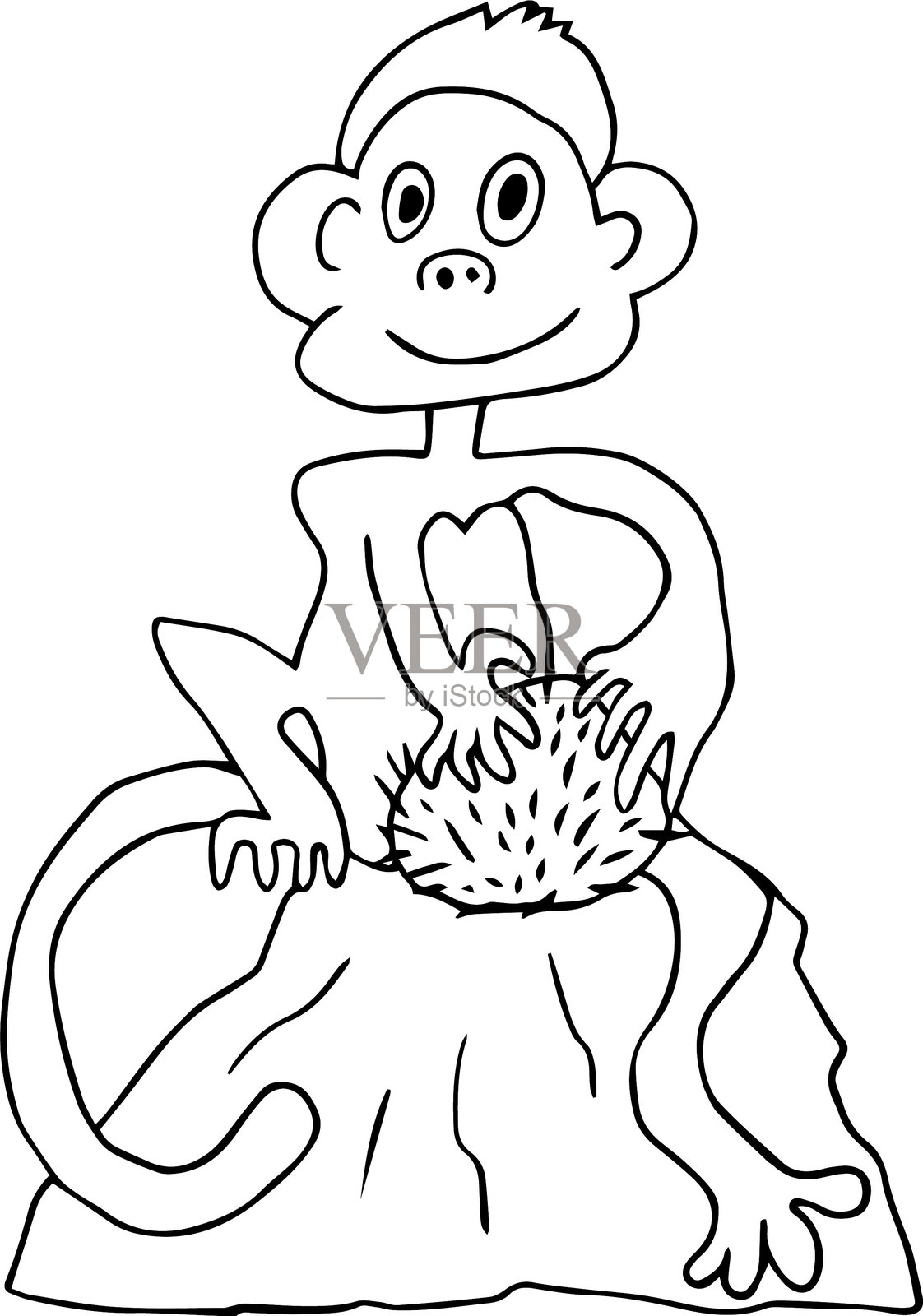 快乐的猴子坐在岩石上，望着镜头，手里拿着一个毛茸茸的圆形水果。插画图片素材