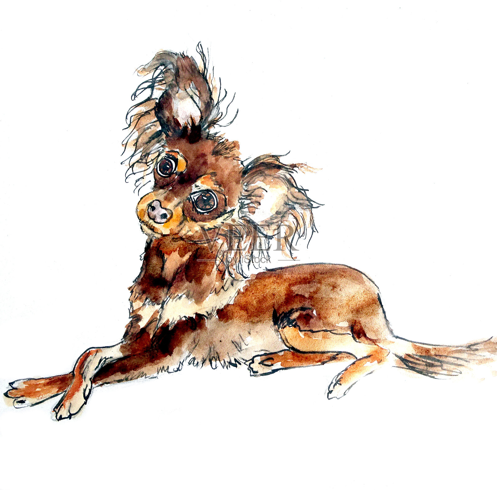 孤立在白色背景上的玩具猎犬素描插画图片素材