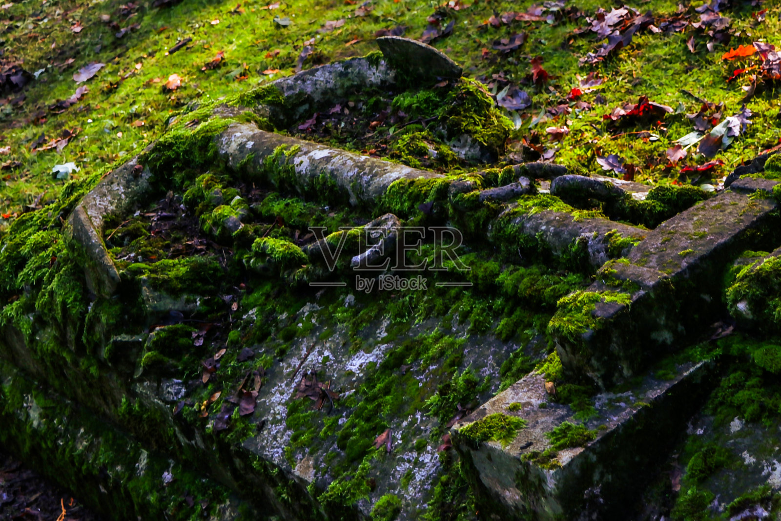 水手的墓碑与锚照片摄影图片
