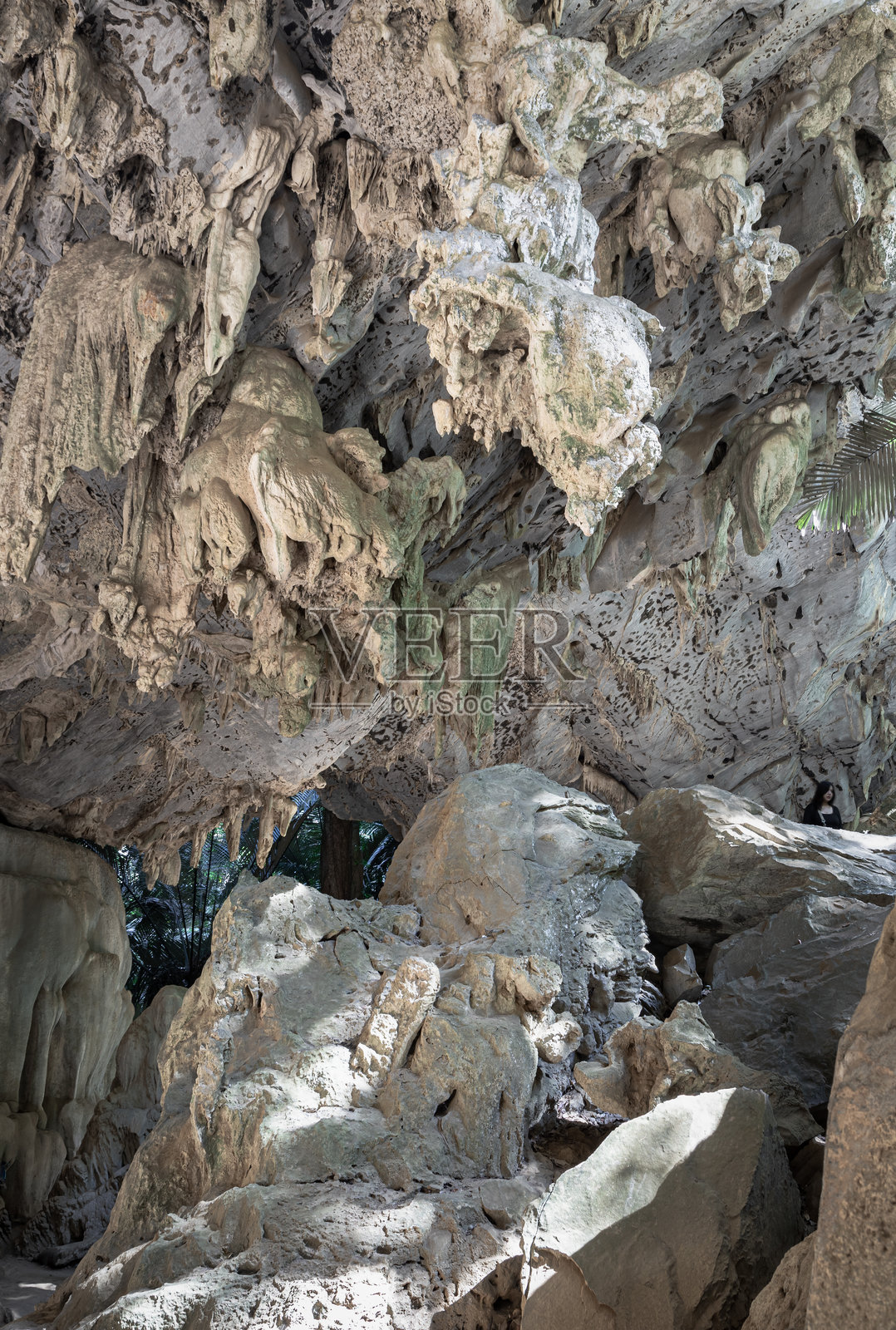 老石灰岩洞穴内的钟乳石和石笋景观，以及自然光照射的内部。照片摄影图片