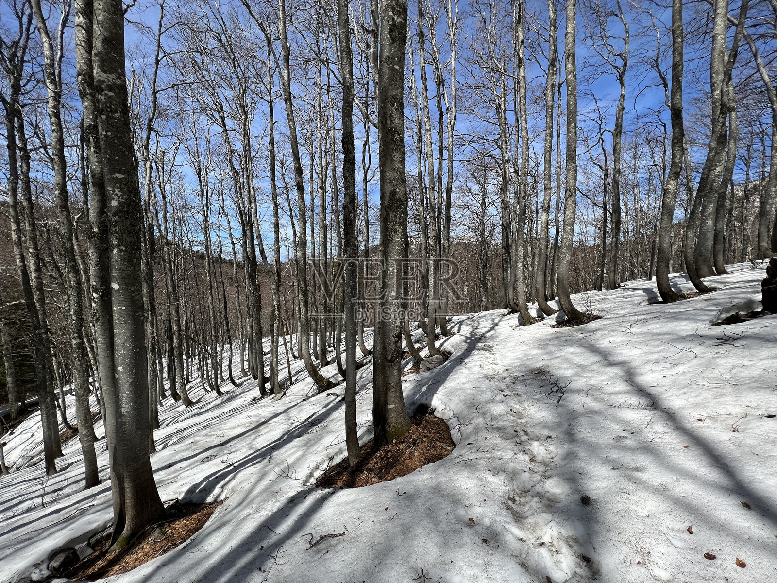 普雷穆齐奇徒步小径 - 克罗地亚北维莱比特国家公园照片摄影图片