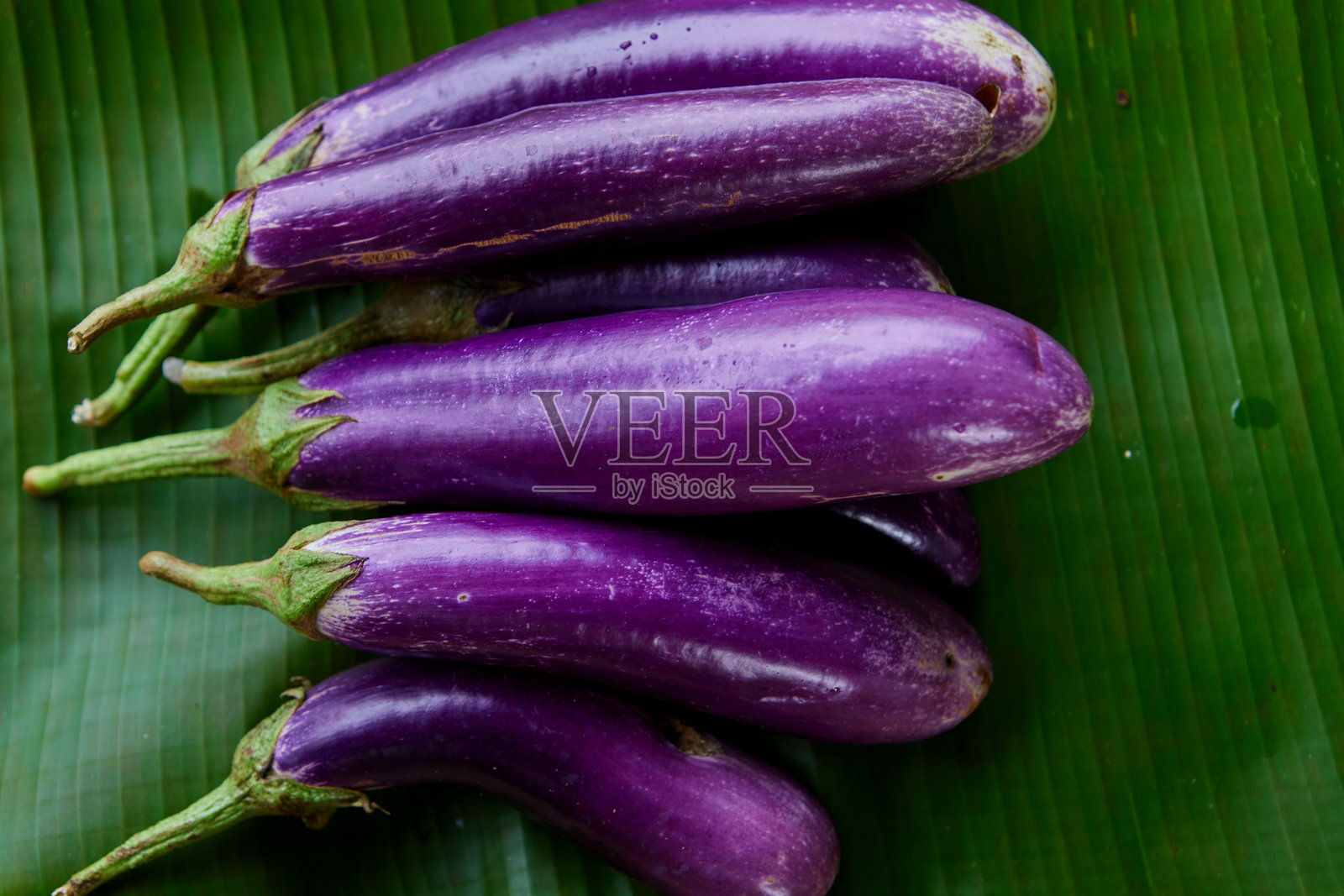 紫色长茄子在叶子上的特写视图照片摄影图片