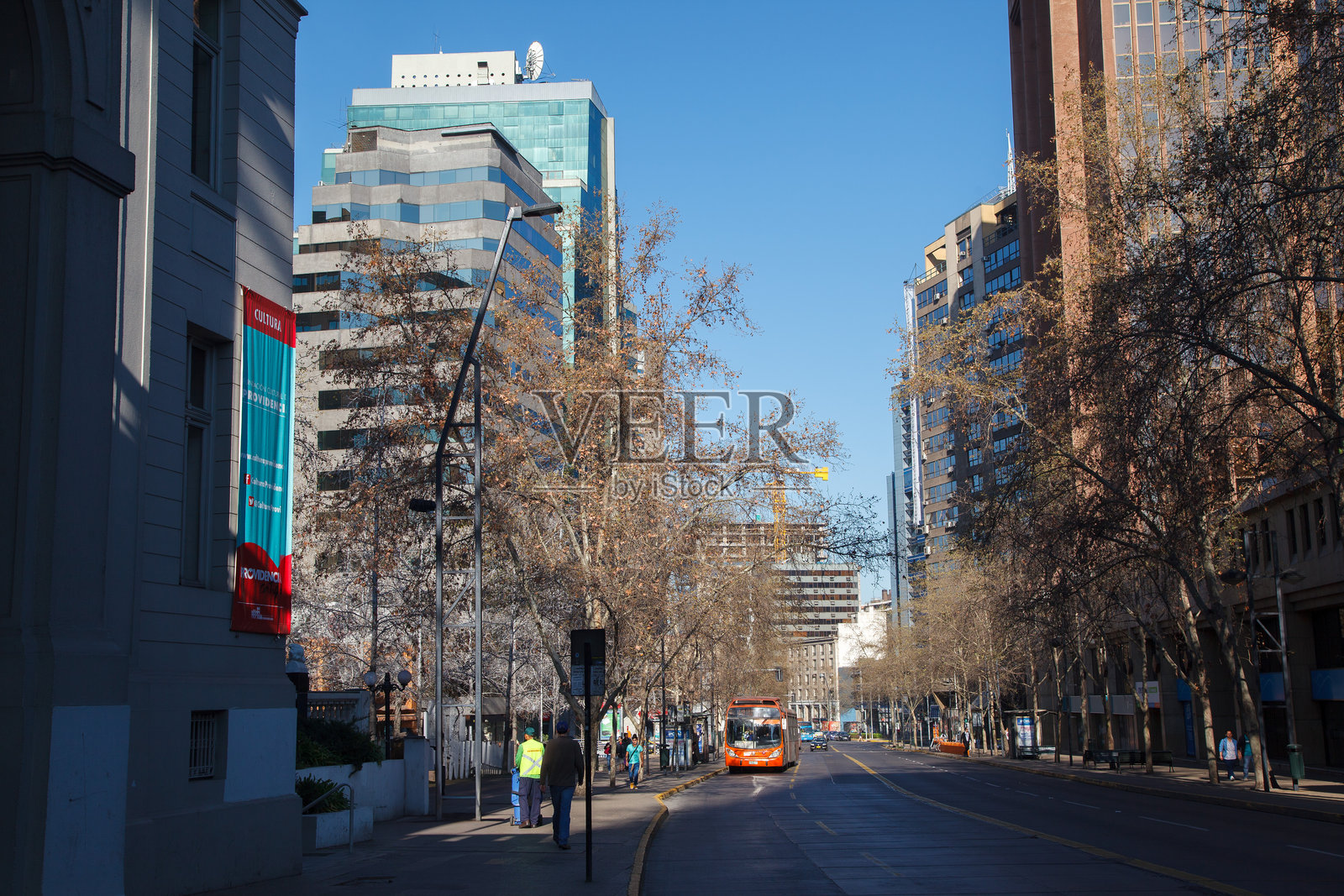 智利圣地亚哥普罗维登西亚街区的典型街道，树木和办公大楼相映成趣照片摄影图片