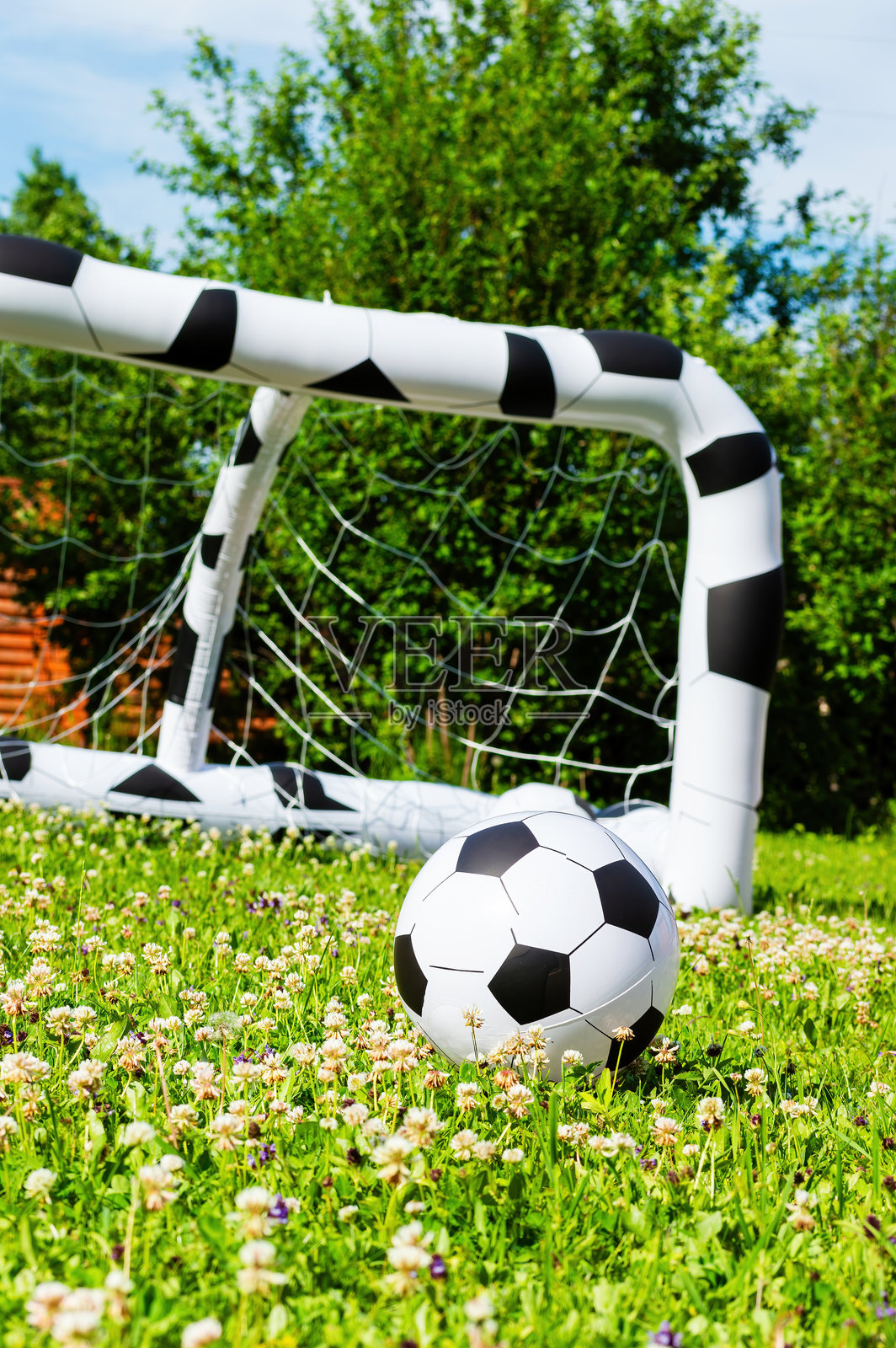 经典足球静静地放在装饰着三叶草花的生机勃勃的绿草坪上照片摄影图片