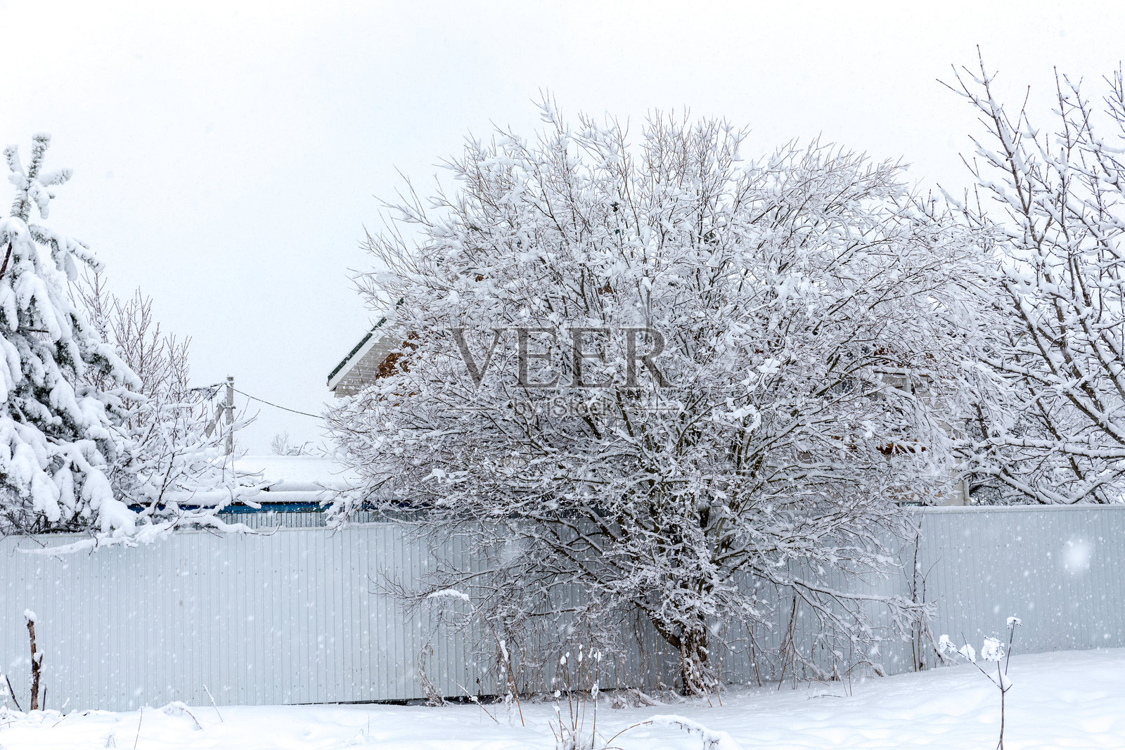 春天的乡村风景照片摄影图片