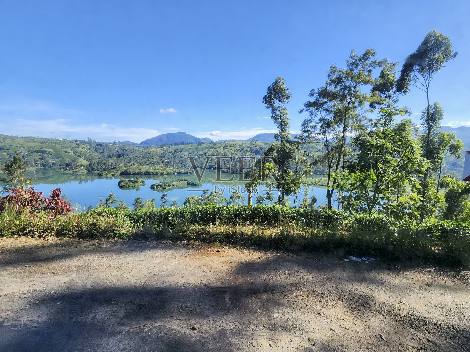 巨大的斯里兰卡茶叶种植园照片摄影图片