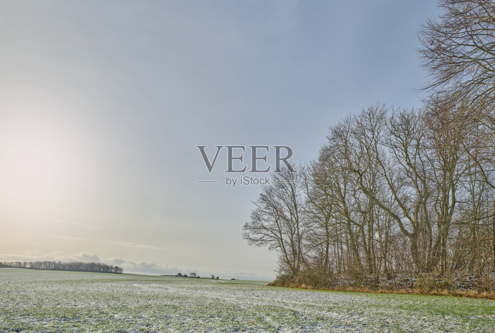 丹麦的冬季照片摄影图片