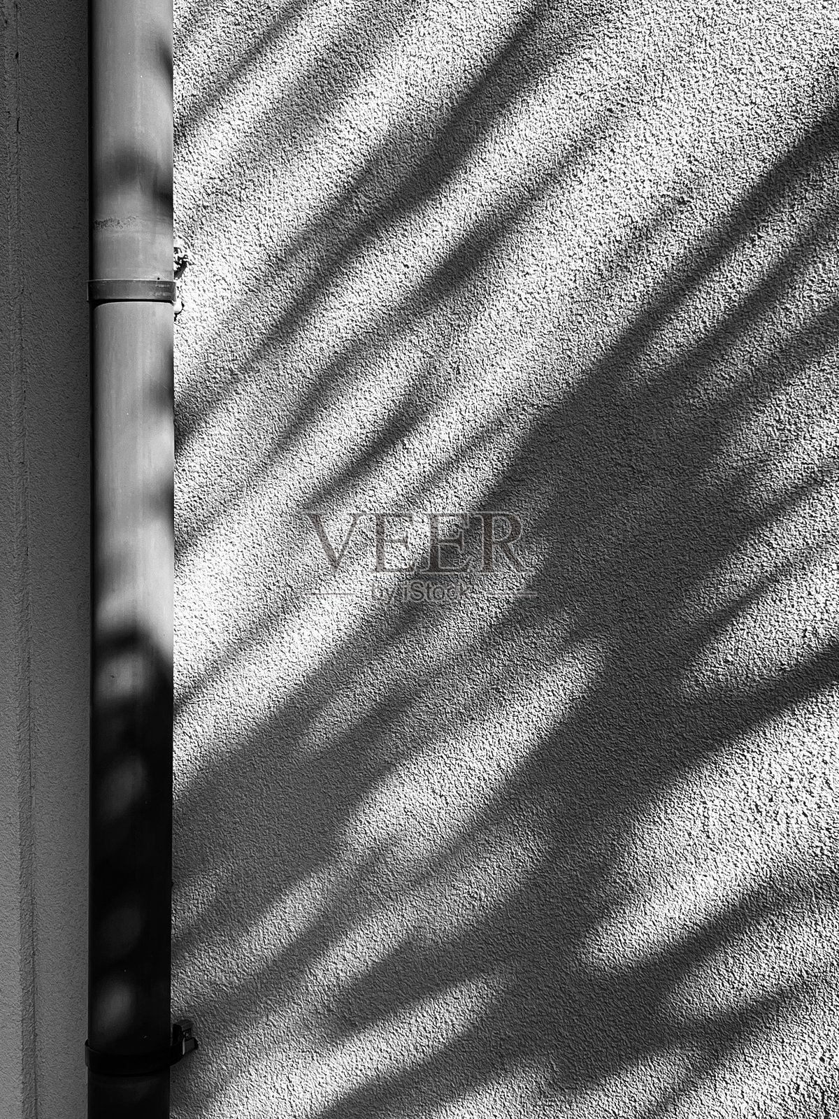 墙上的叶子阴影照片摄影图片