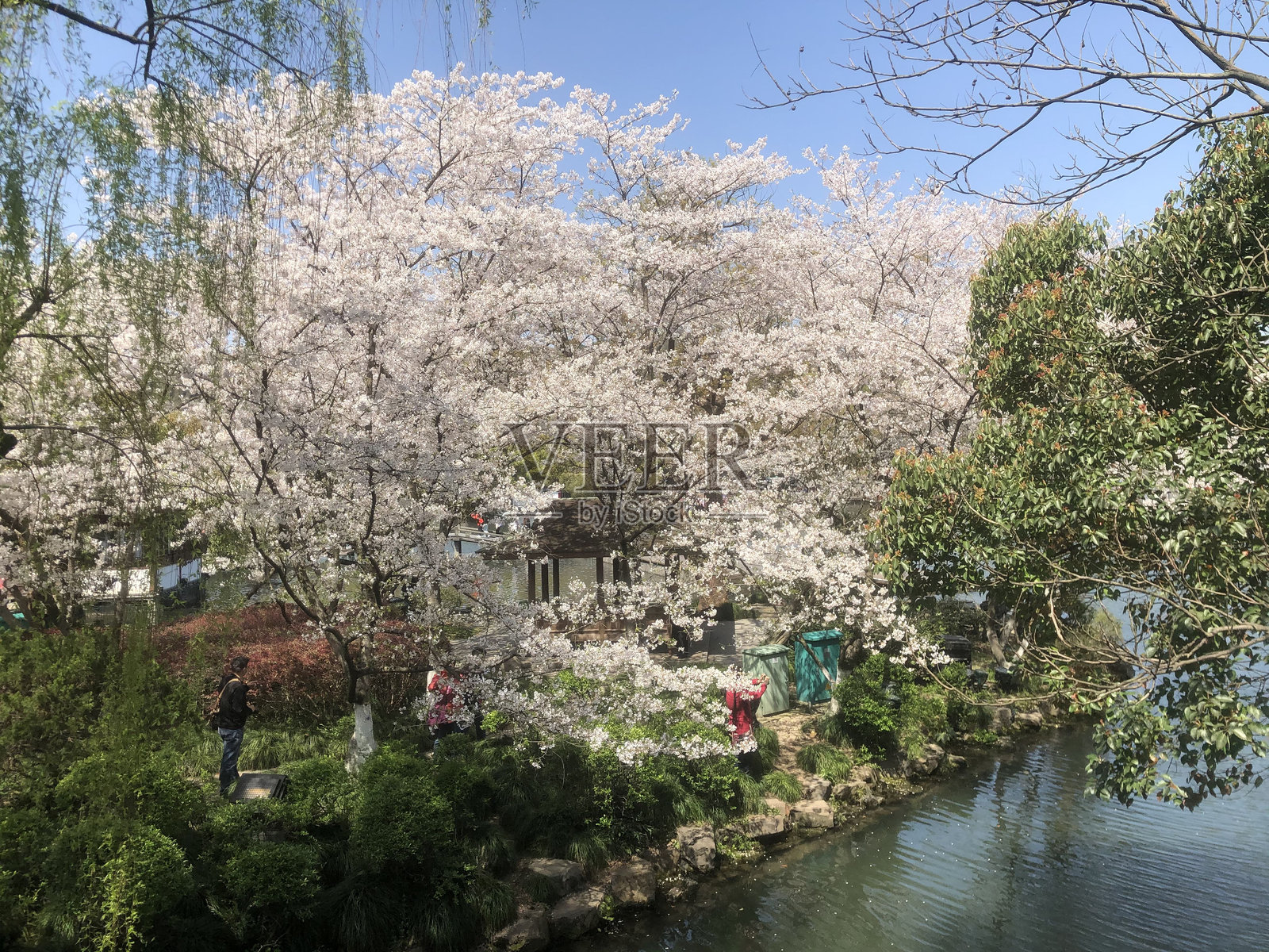 中国杭州的西湖风景照片摄影图片