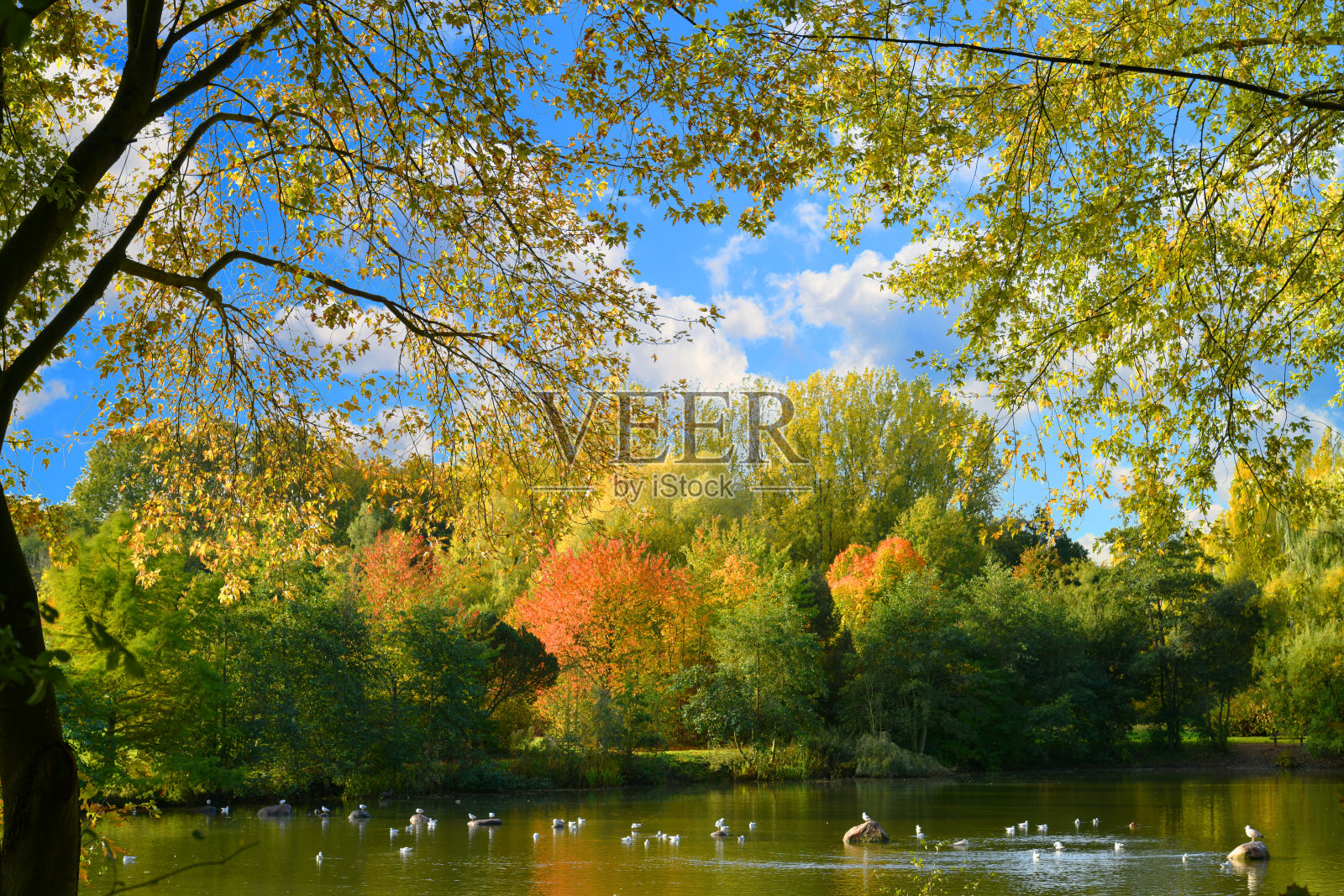 秋季风景。照片摄影图片