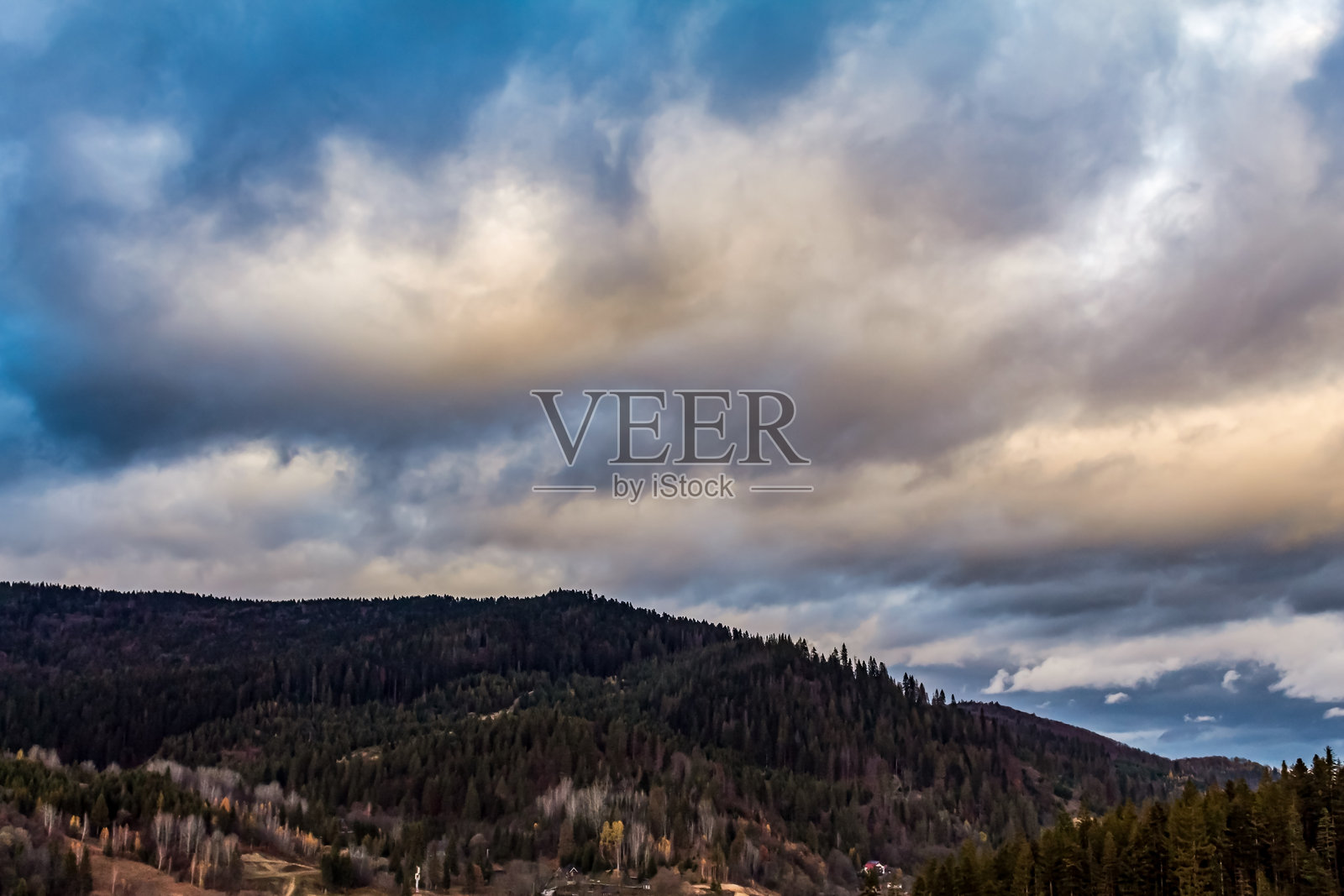 风景 - 森林 - 欧洲，罗马尼亚，苏恰瓦地区照片摄影图片