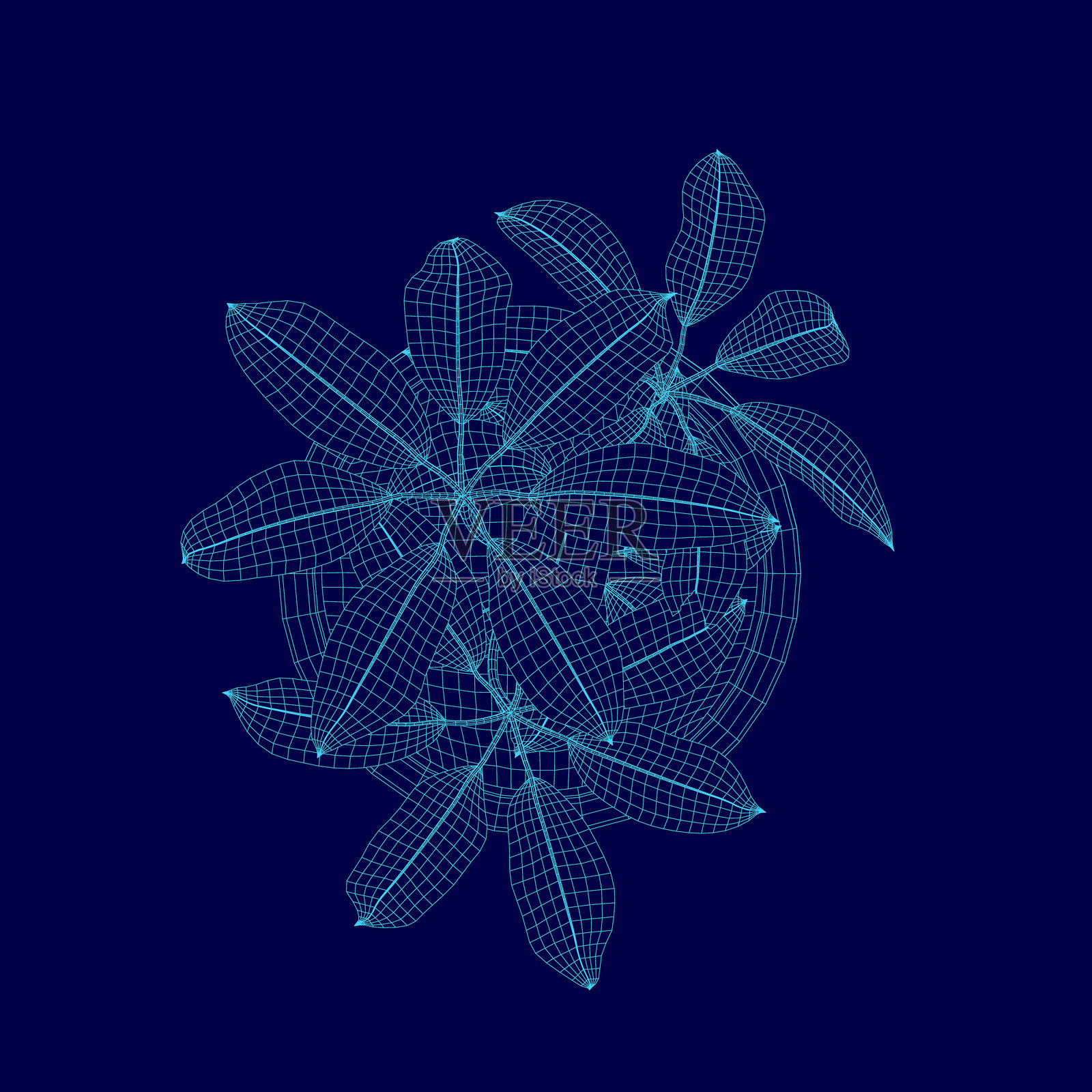 蓝色花朵，细节丰富，纹理感强。插画图片素材