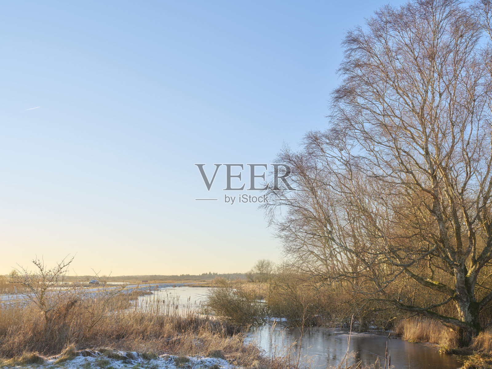 风景如画的冬季景观，冰霜覆盖的乡村河流被光秃的树木环绕，蓝天晴朗。照片摄影图片