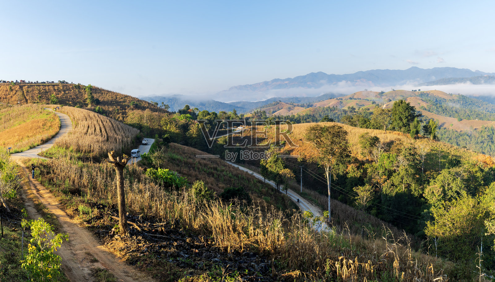 泰国清迈省梅占村的梯田稻田照片摄影图片