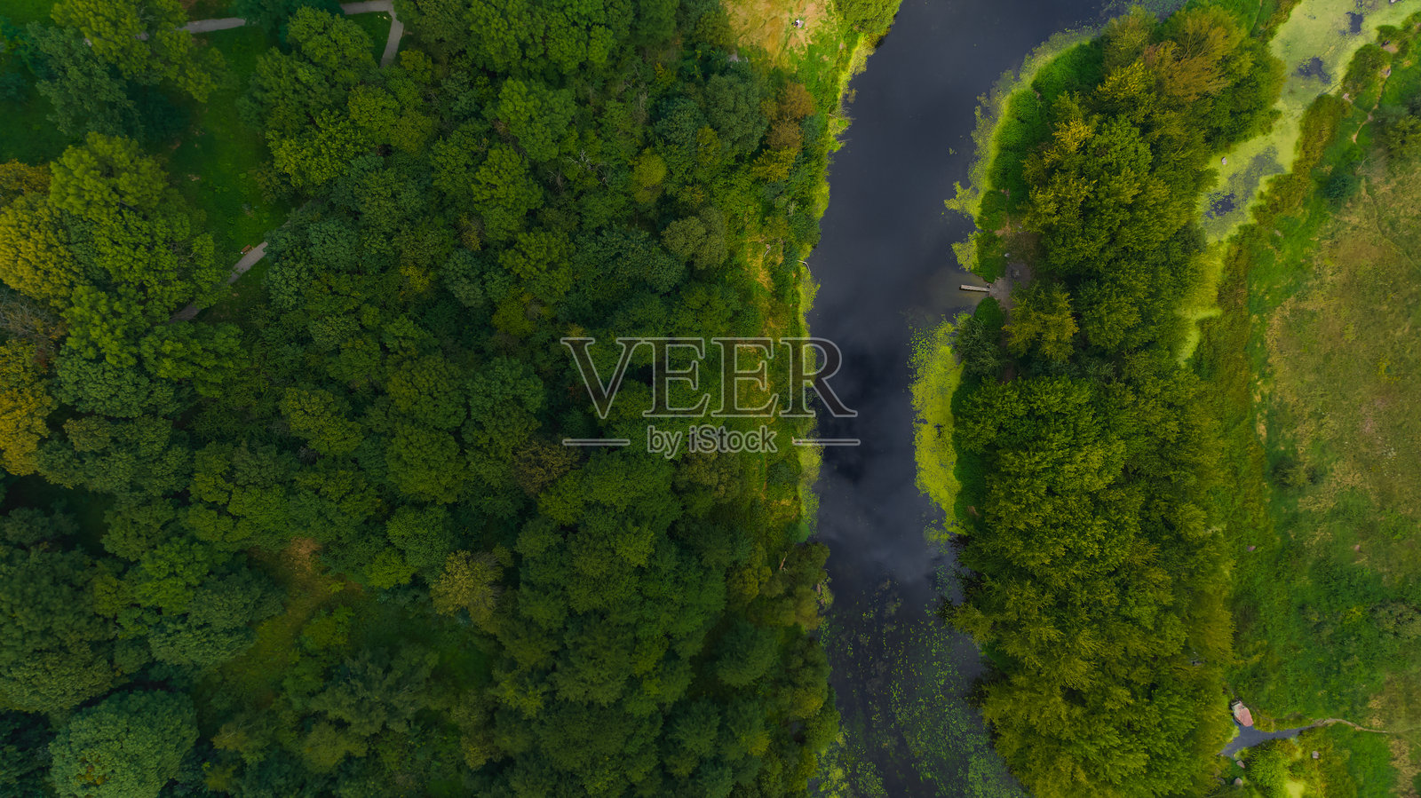 绿色背景的森林树木和河流，夏季自然环境的航拍摄影照片摄影图片