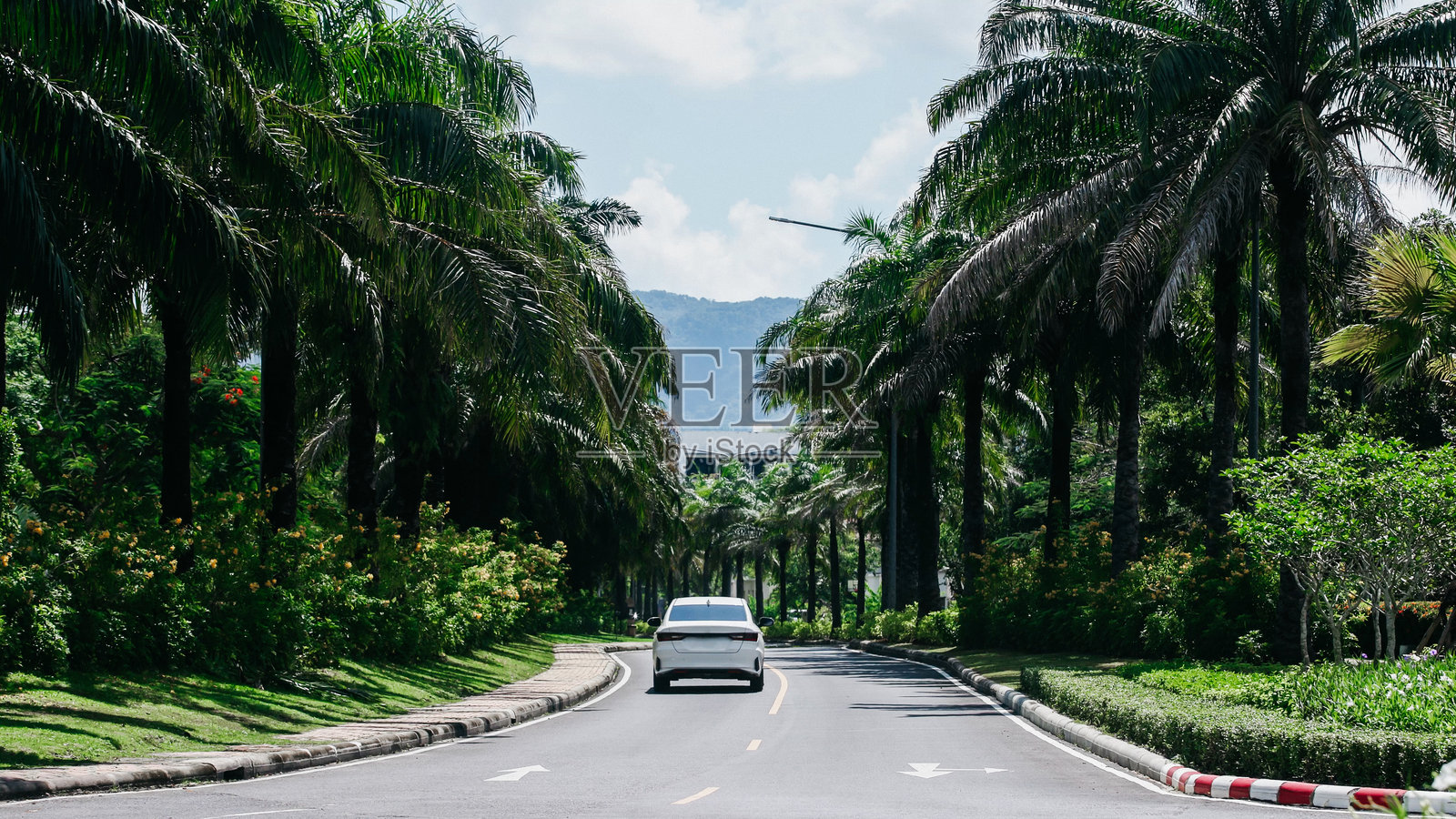 热带气候下的公路景观。照片摄影图片