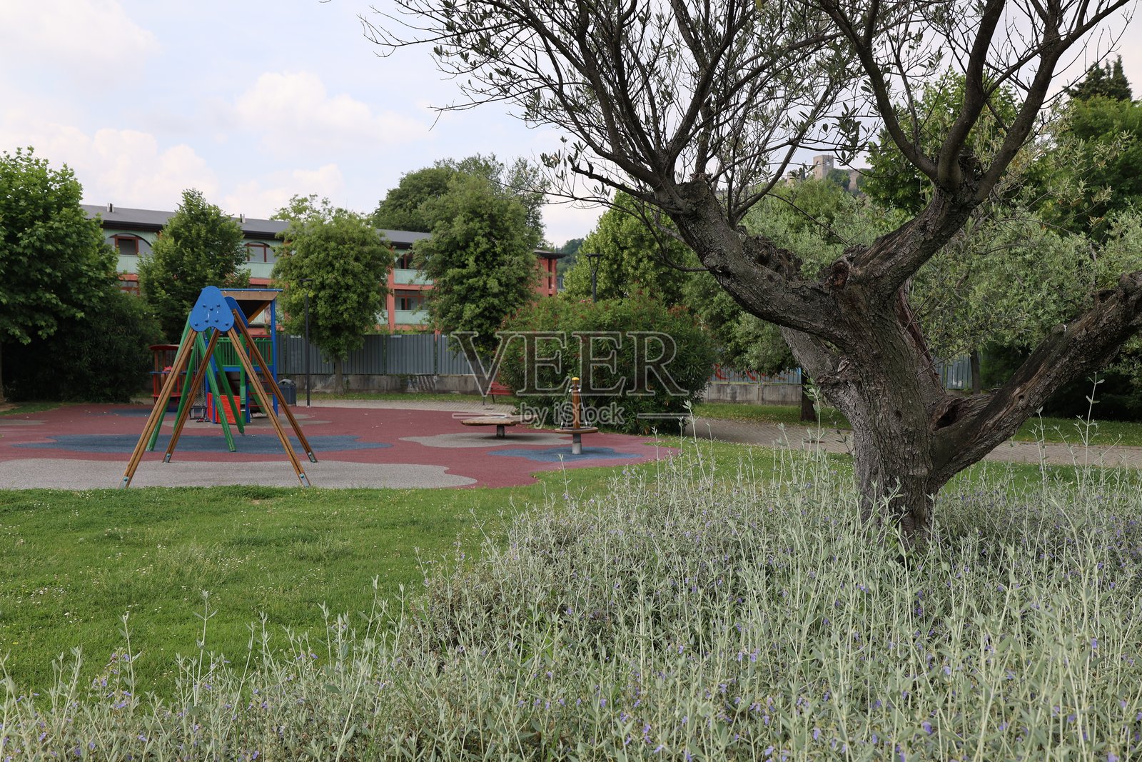 帕登赫的初夏照片摄影图片