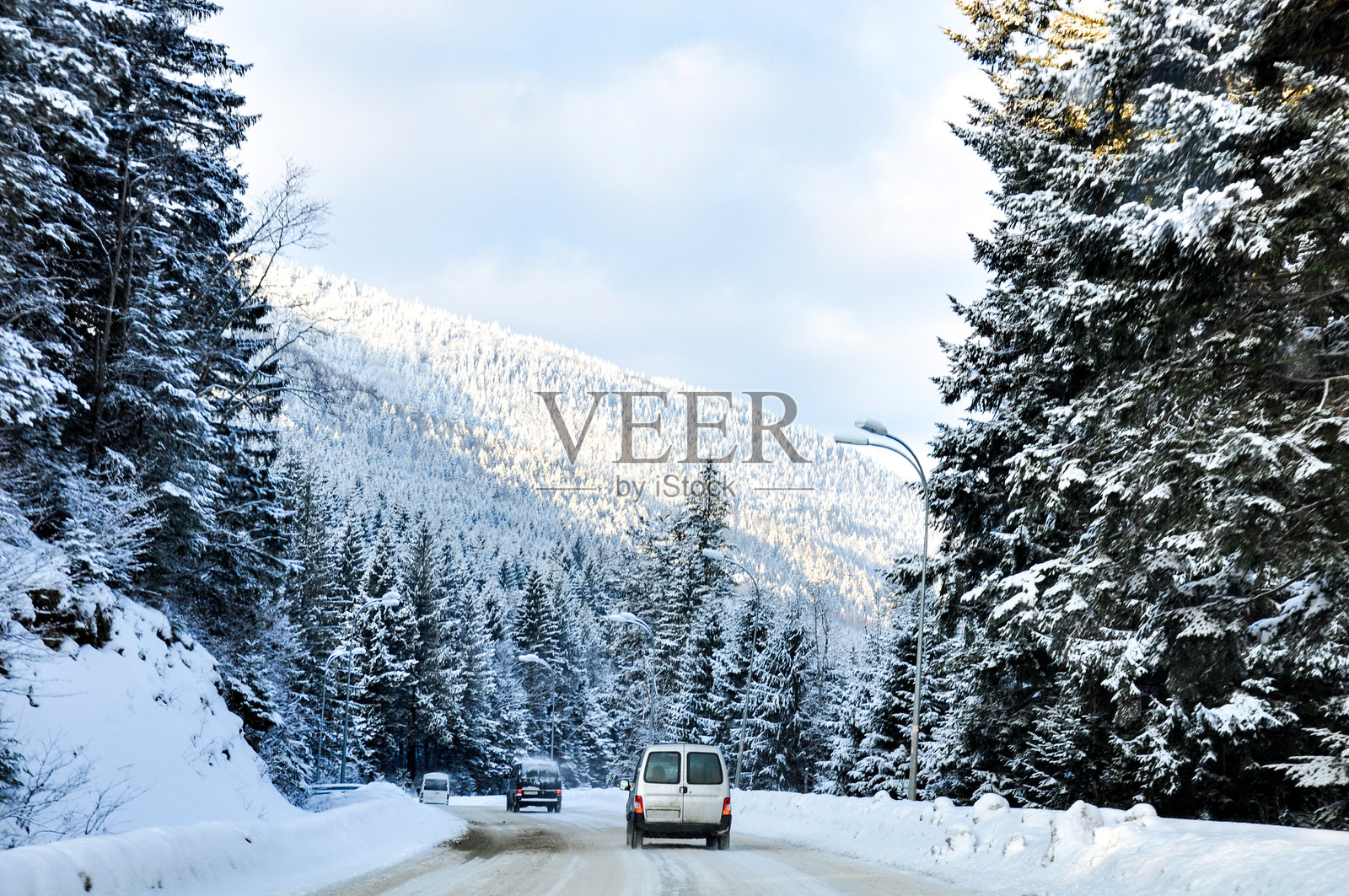 一条穿过被雪覆盖的云杉森林的冬季道路，几辆汽车在上面行驶。照片摄影图片