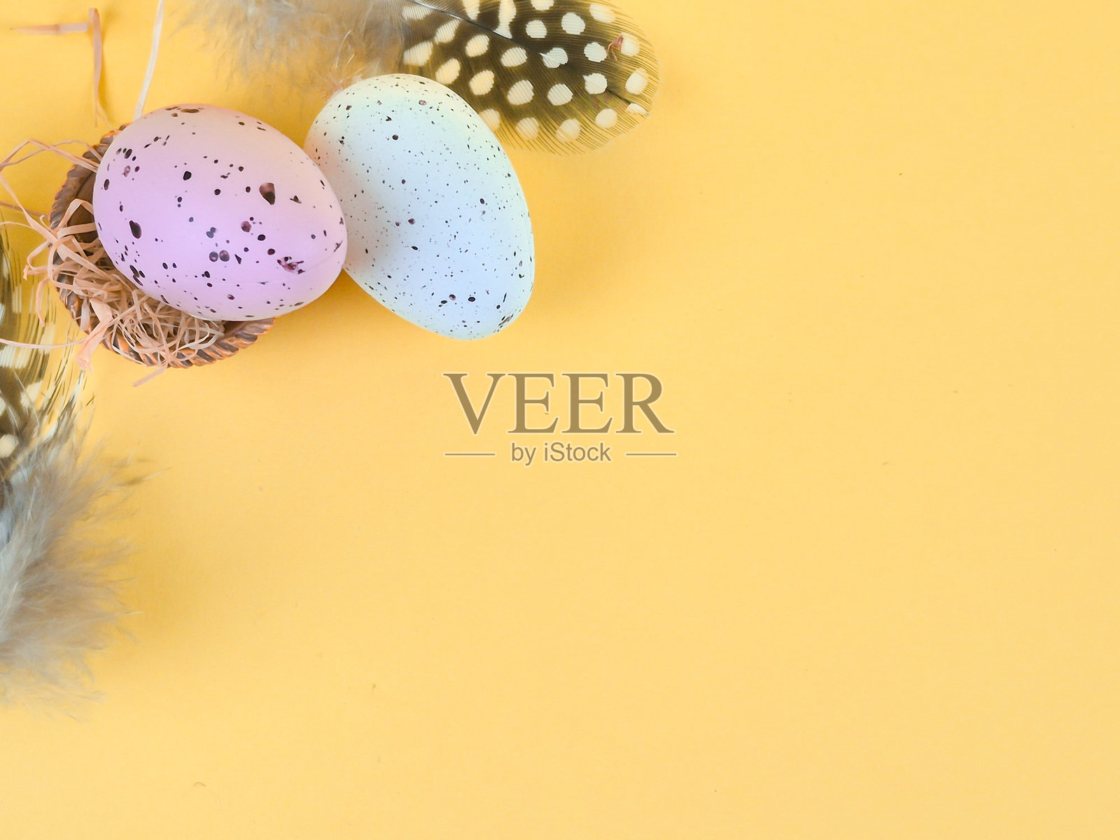 明亮背景下的鹌鹑蛋巢特写，微距，留有文字空间照片摄影图片