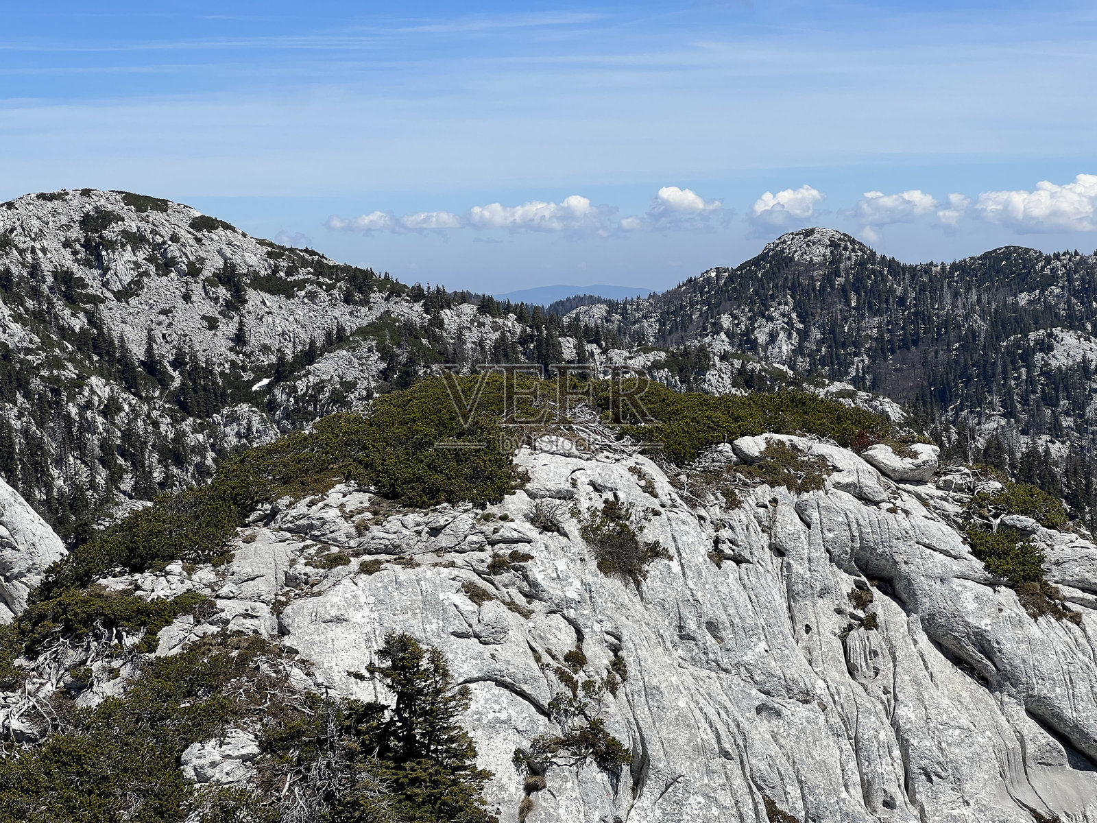 岩石喀斯特山峰与混合山地森林 - 克罗地亚北韦莱比特国家公园照片摄影图片