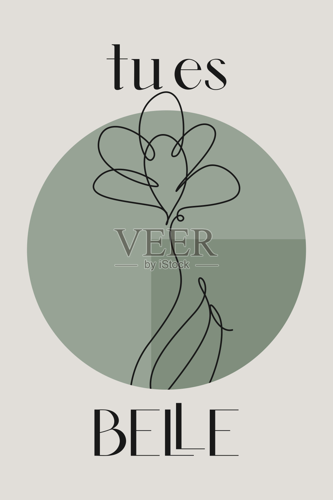 米色植物抽象花卉轮廓墙面艺术背景插画图片素材