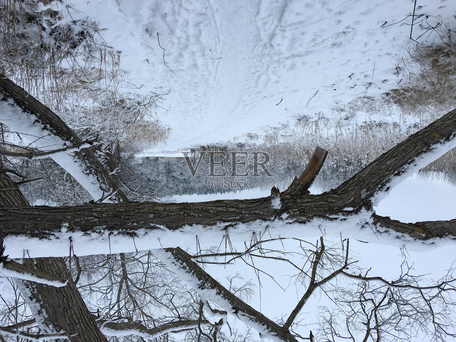 冬季人行道照片摄影图片