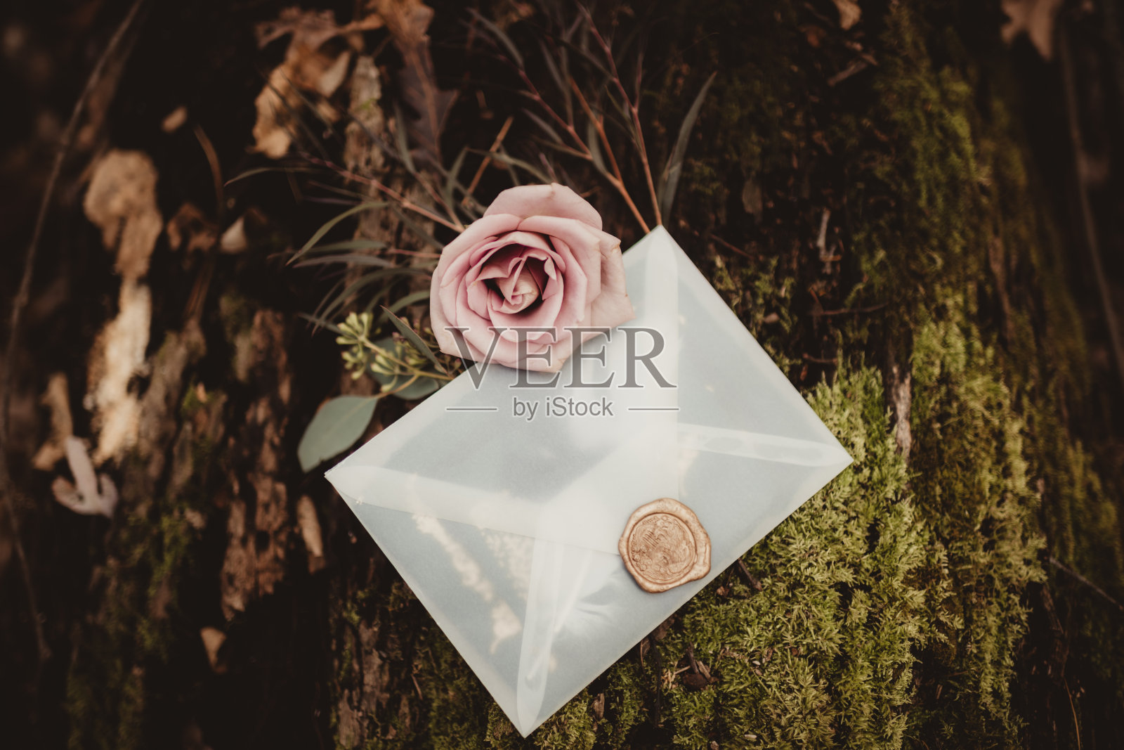 从上方看带有蜡封和自然元素的空白优雅信封照片摄影图片