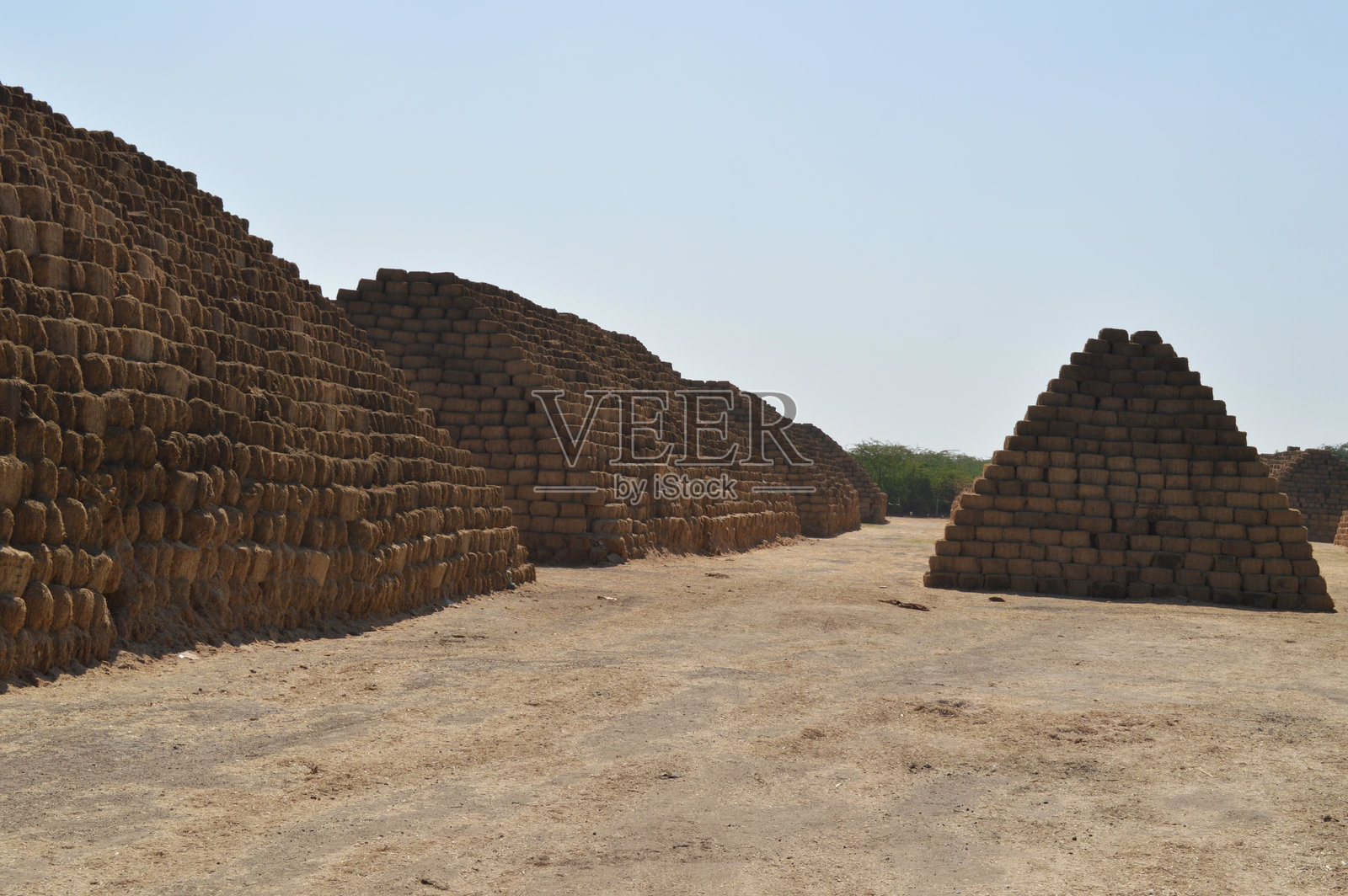 甘蔗废料 M1照片摄影图片