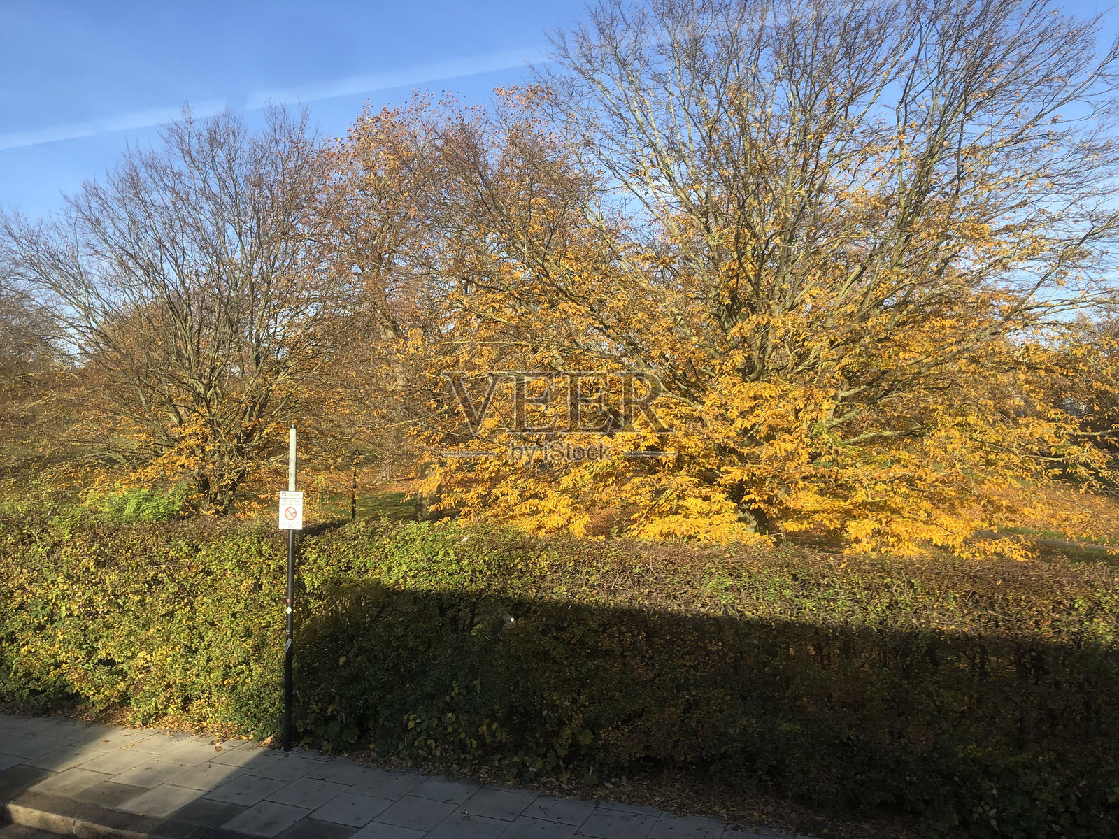 英国伦敦的秋季风景照片摄影图片