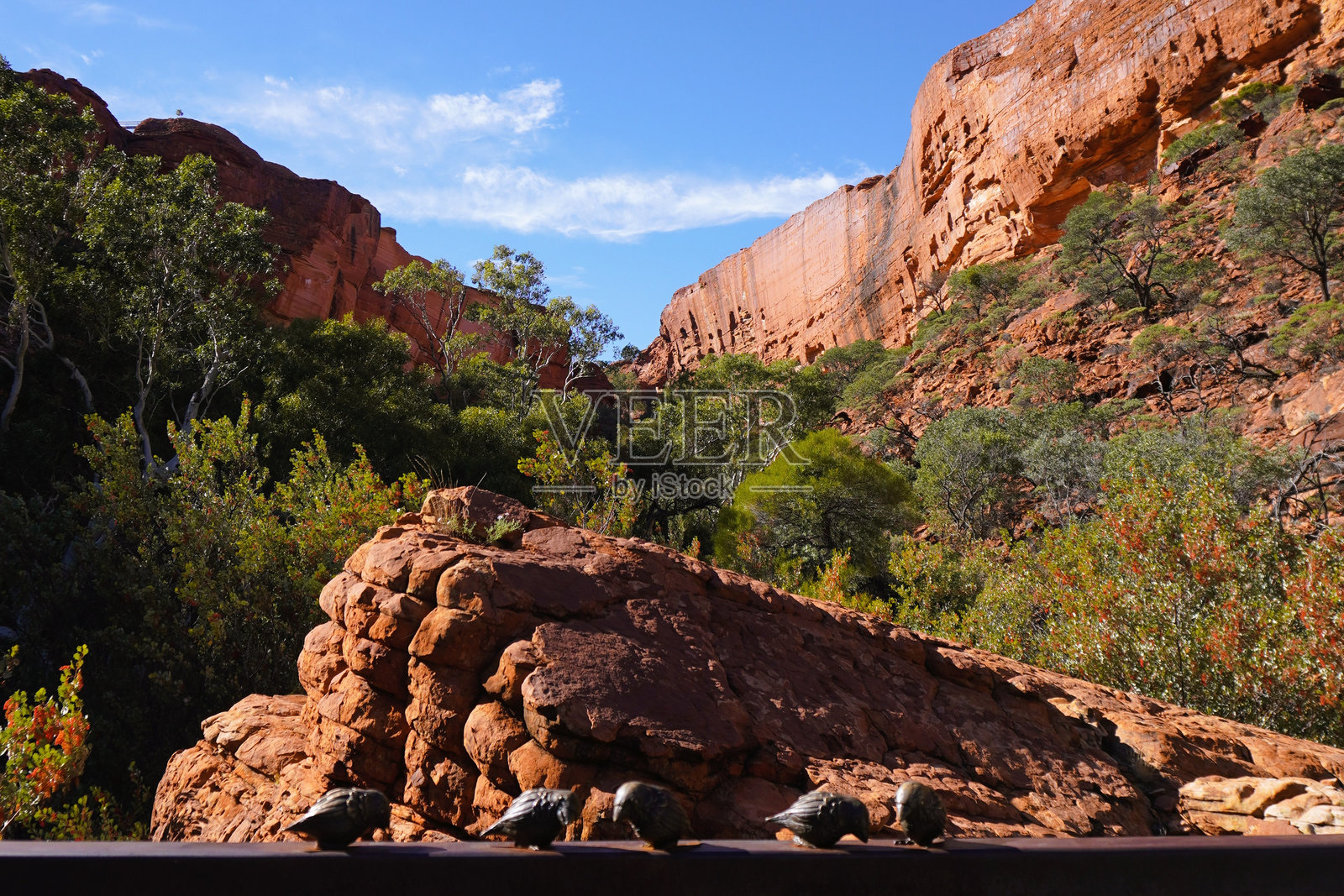 从国王峡谷的尽头俯瞰中央澳大利亚的景色照片摄影图片
