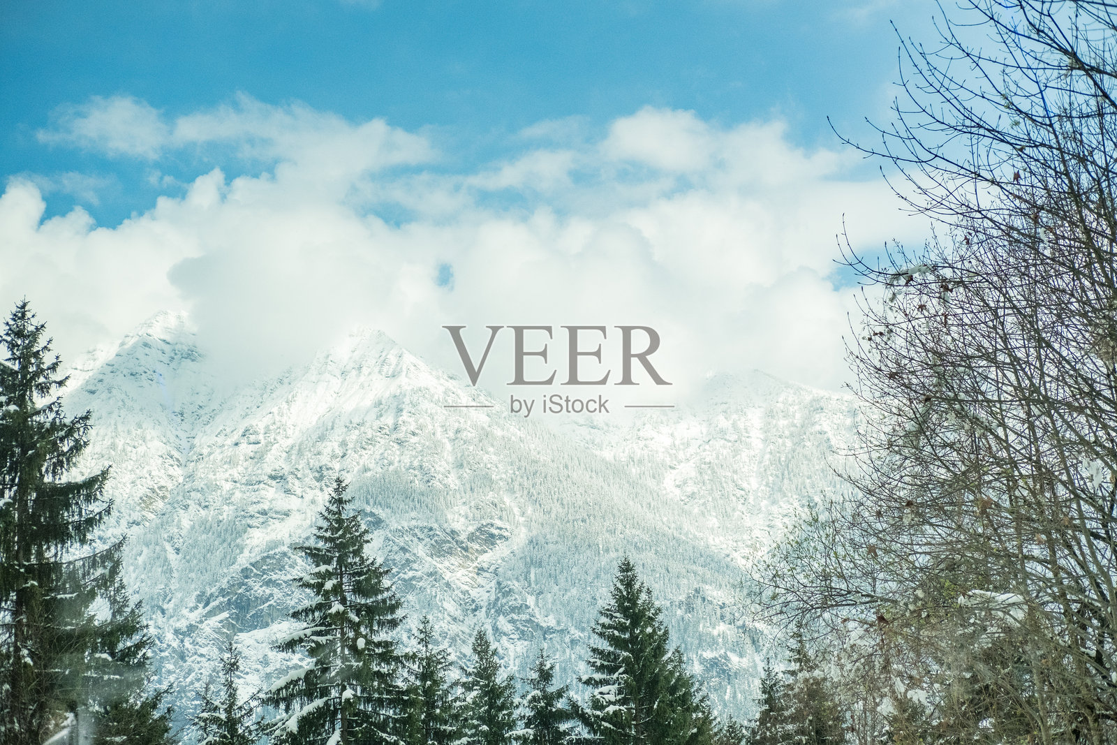 雾蒙蒙的山景，树木覆盖着厚厚的雪。照片摄影图片