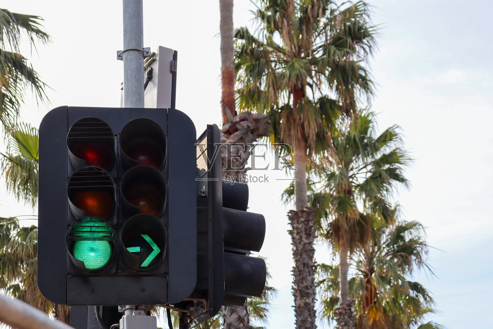 绿色交通信号灯和绿色箭头，背景是棕榈树照片摄影图片