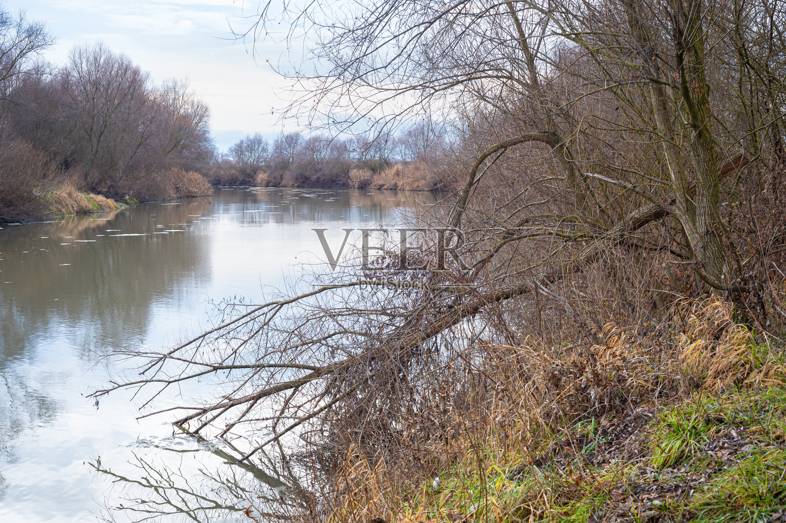 罗马尼亚中部宁静的河流景观照片摄影图片