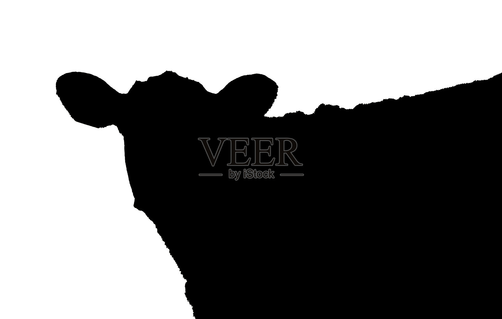 黑白牛的印刷图案照片摄影图片