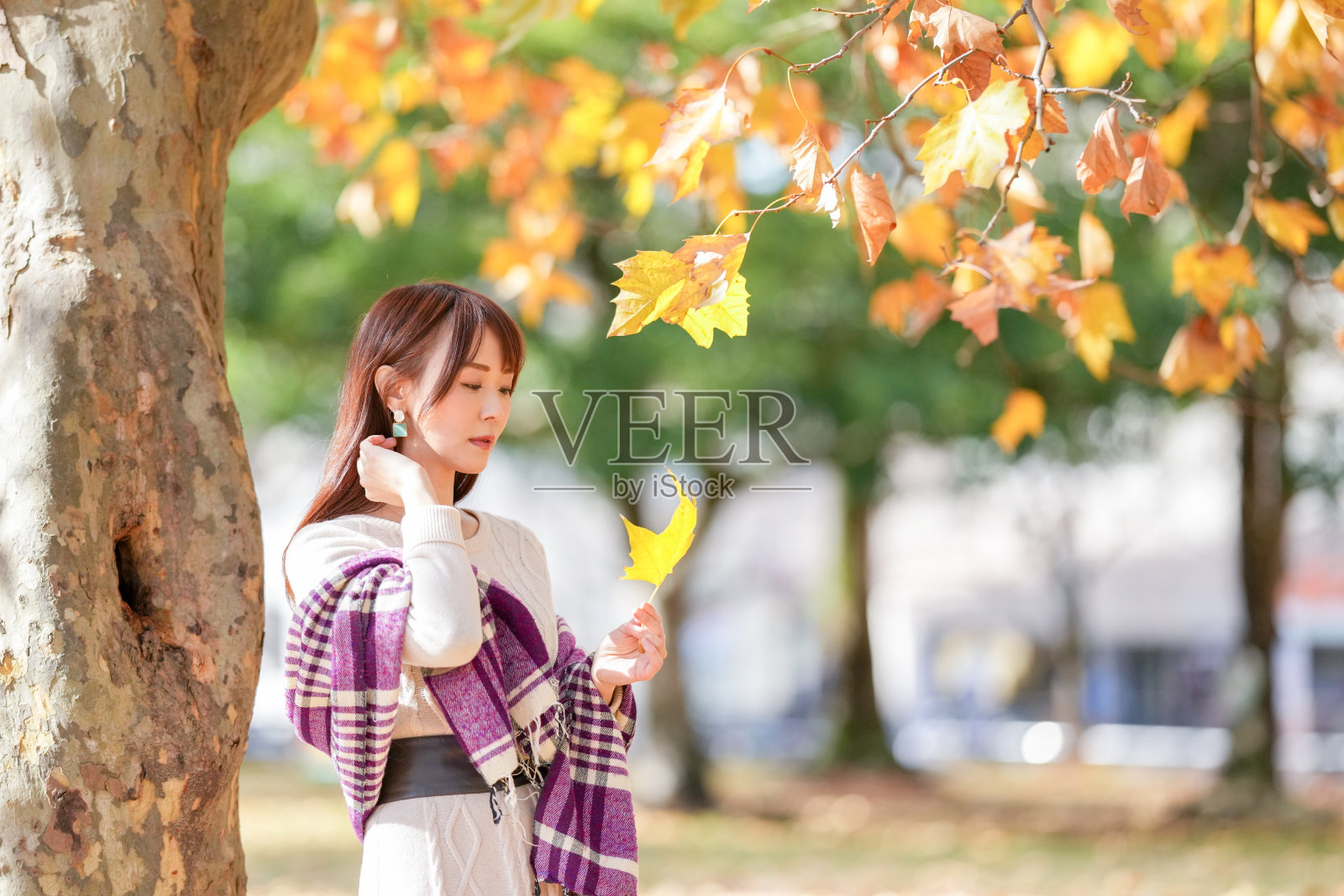 一位三十多岁、长发的女性站在美丽的秋叶中照片摄影图片