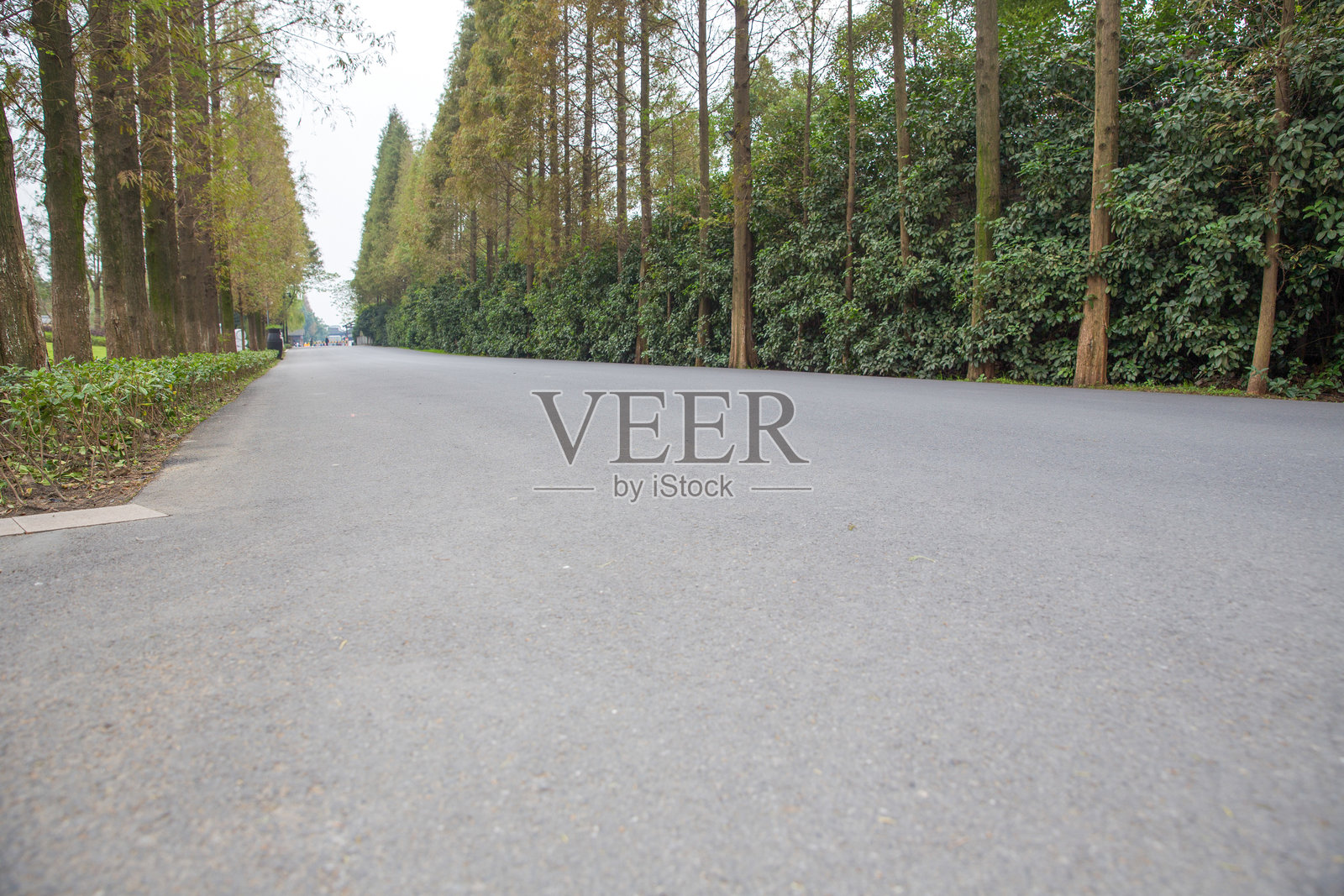 小镇的风景如水般迷人照片摄影图片