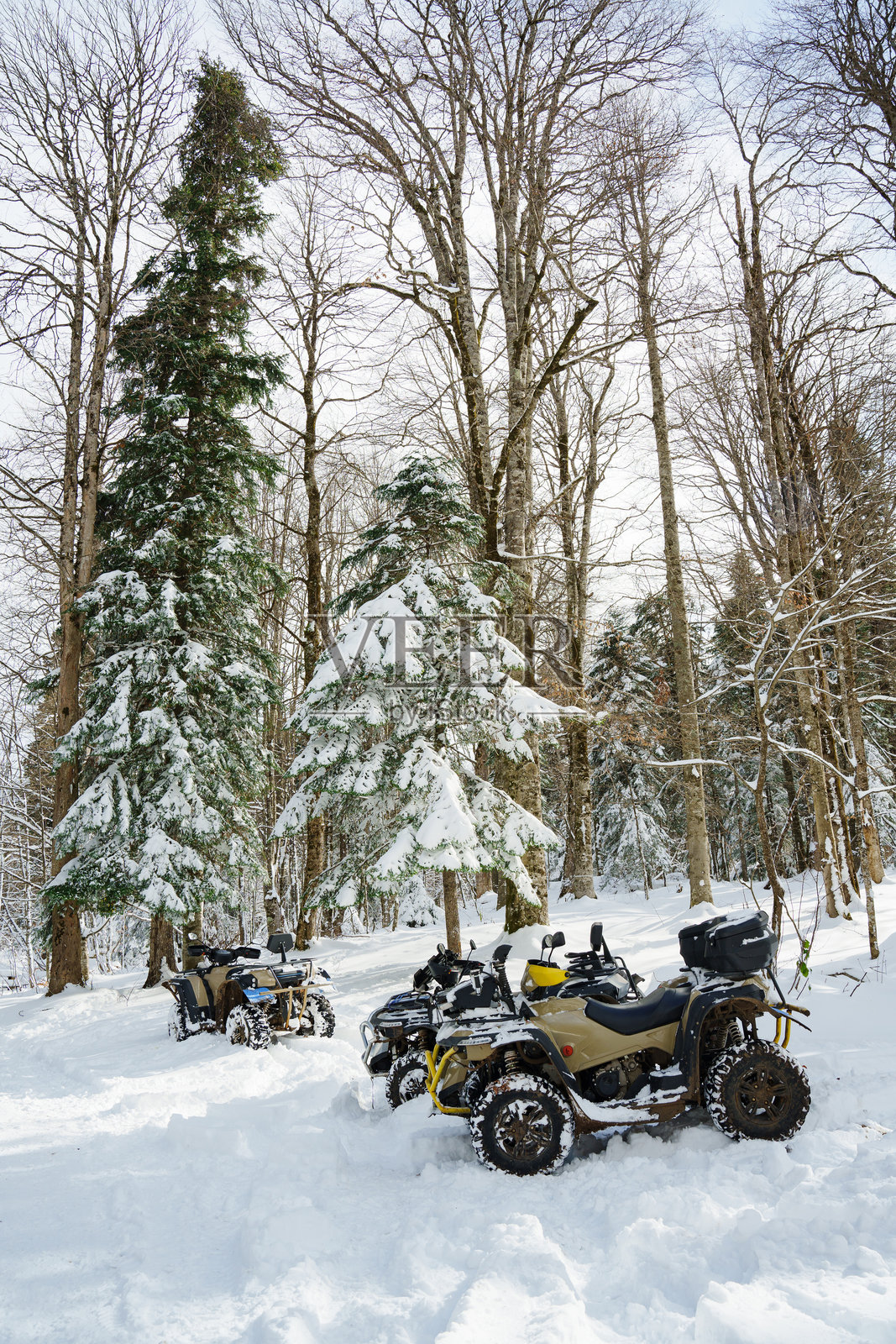 冬季森林中的全地形车照片摄影图片