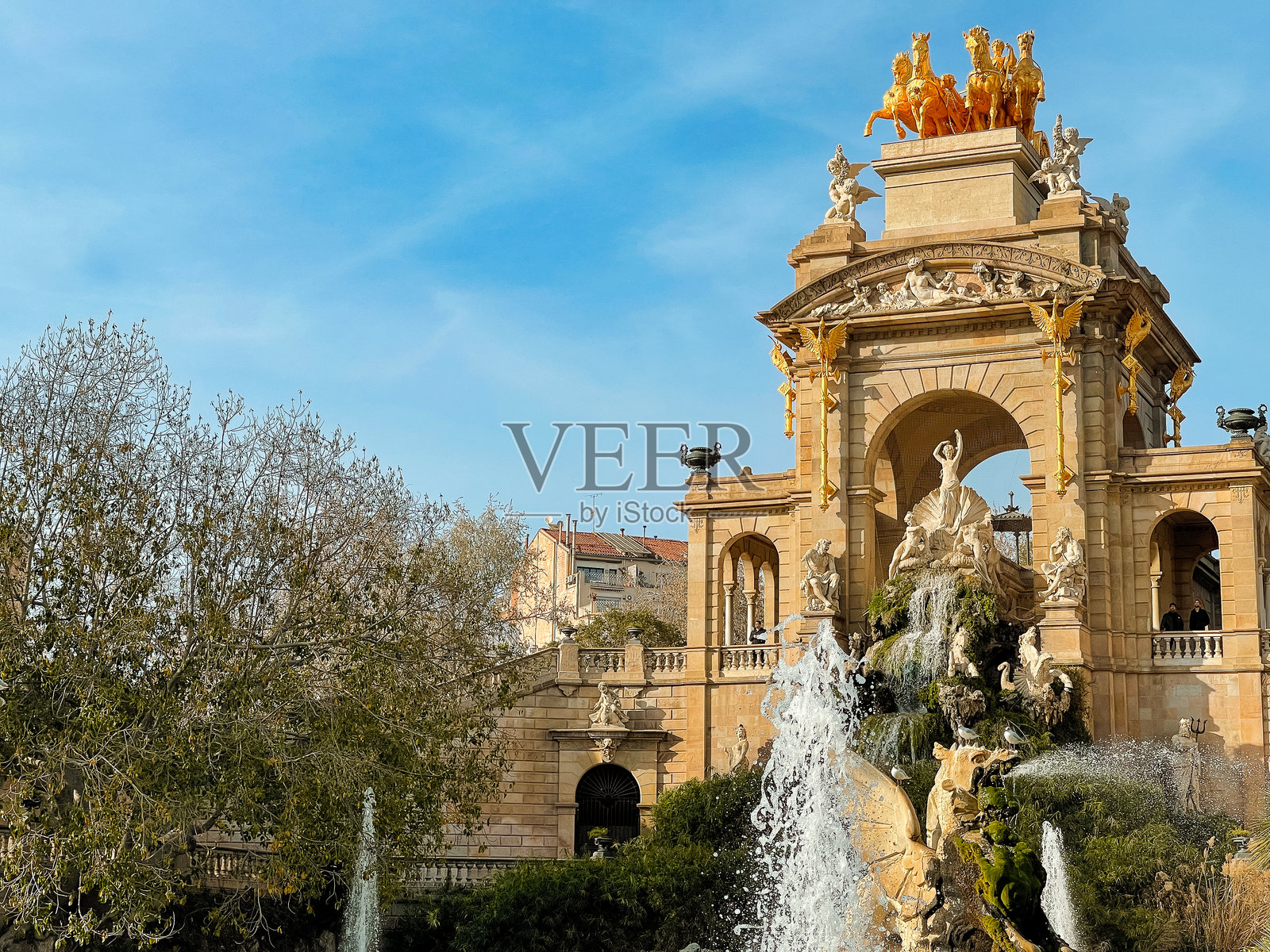 西塔德拉公园照片摄影图片