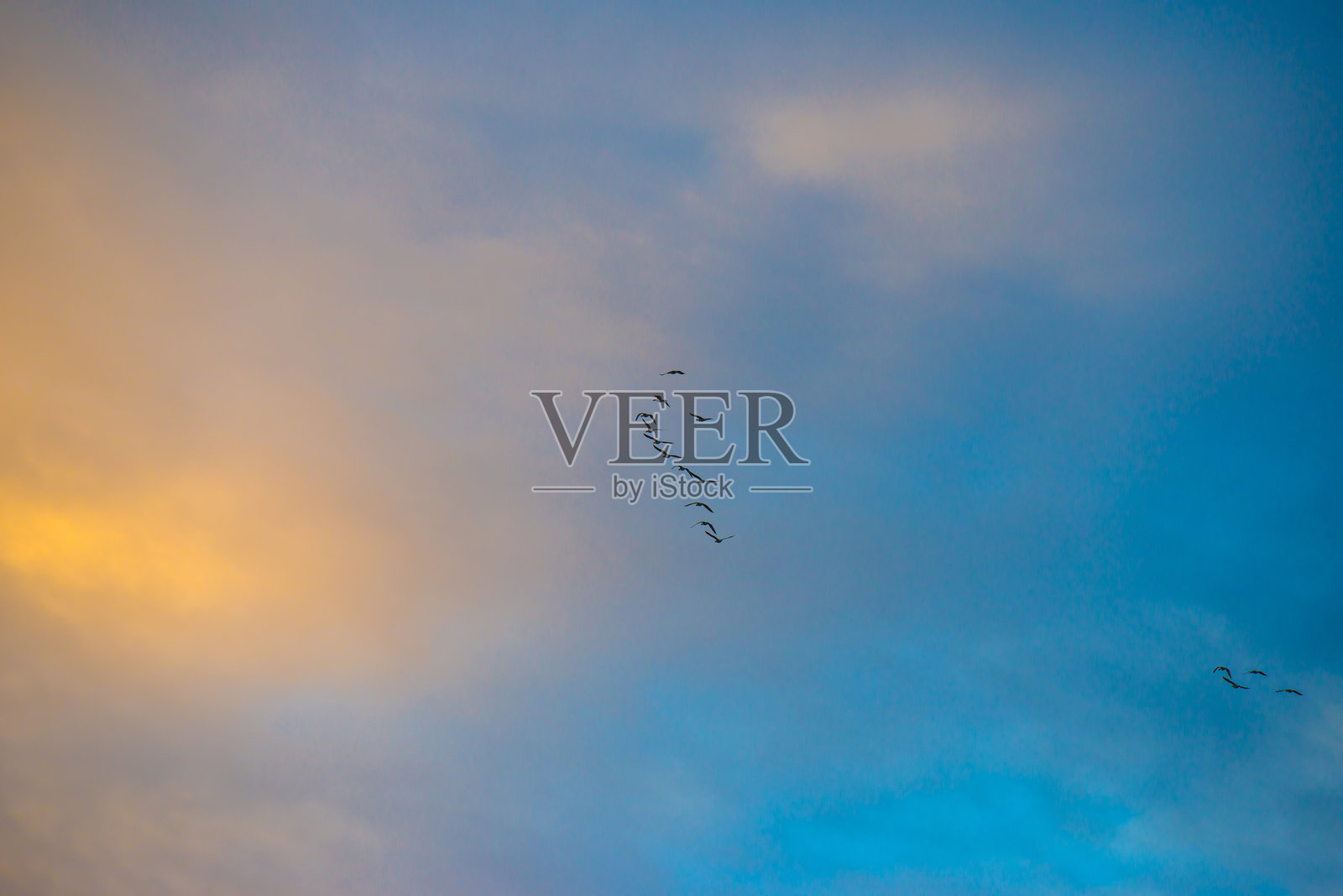 冬季日出时分，鸟儿在蓝黄相间的多云天空中飞翔。照片摄影图片