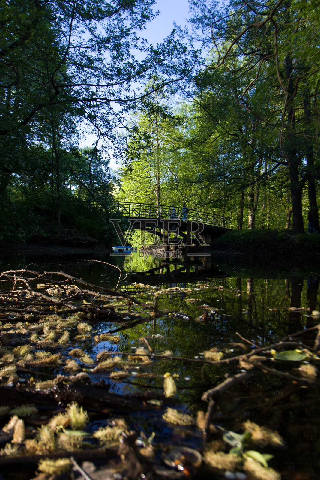 埃拉金岛公园湖上的桥照片摄影图片
