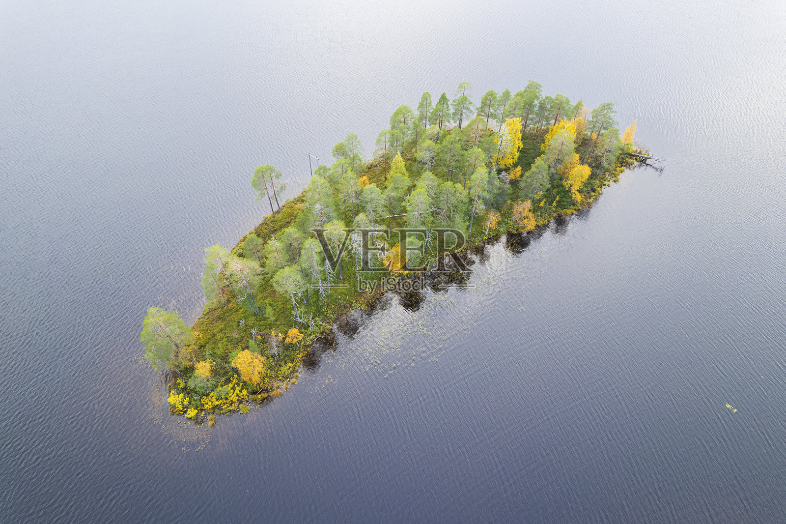 芬兰河中的绿色森林岛屿照片摄影图片