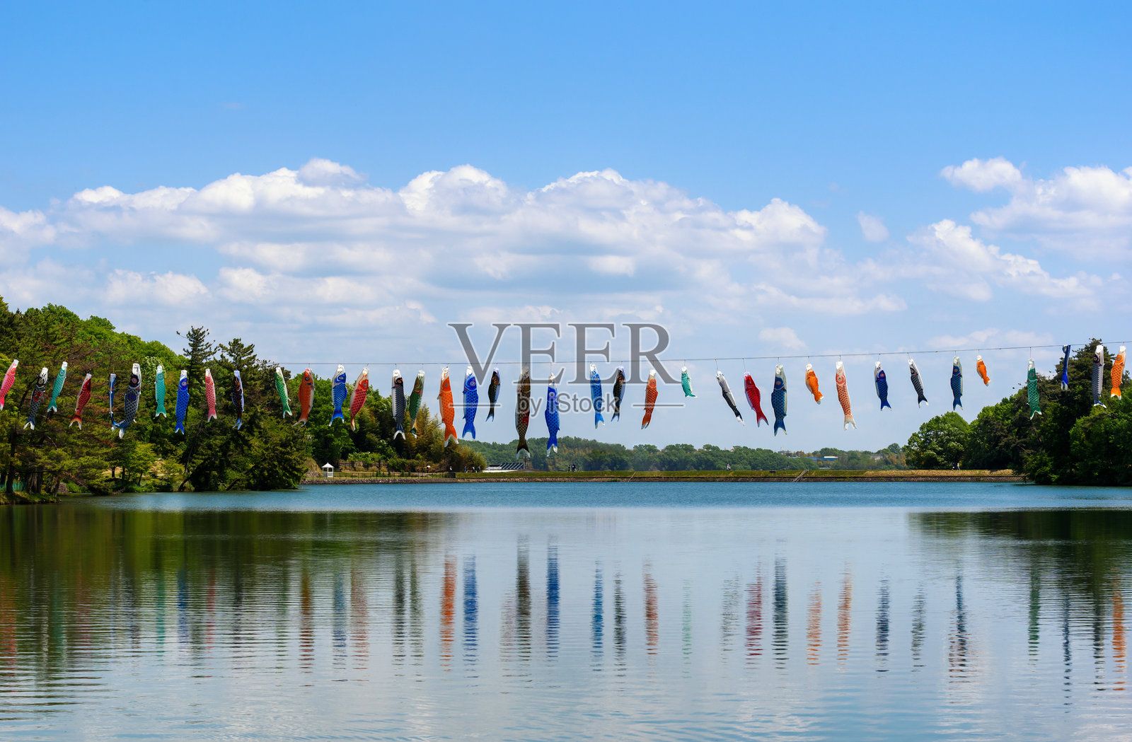 鲤鱼旗照片摄影图片